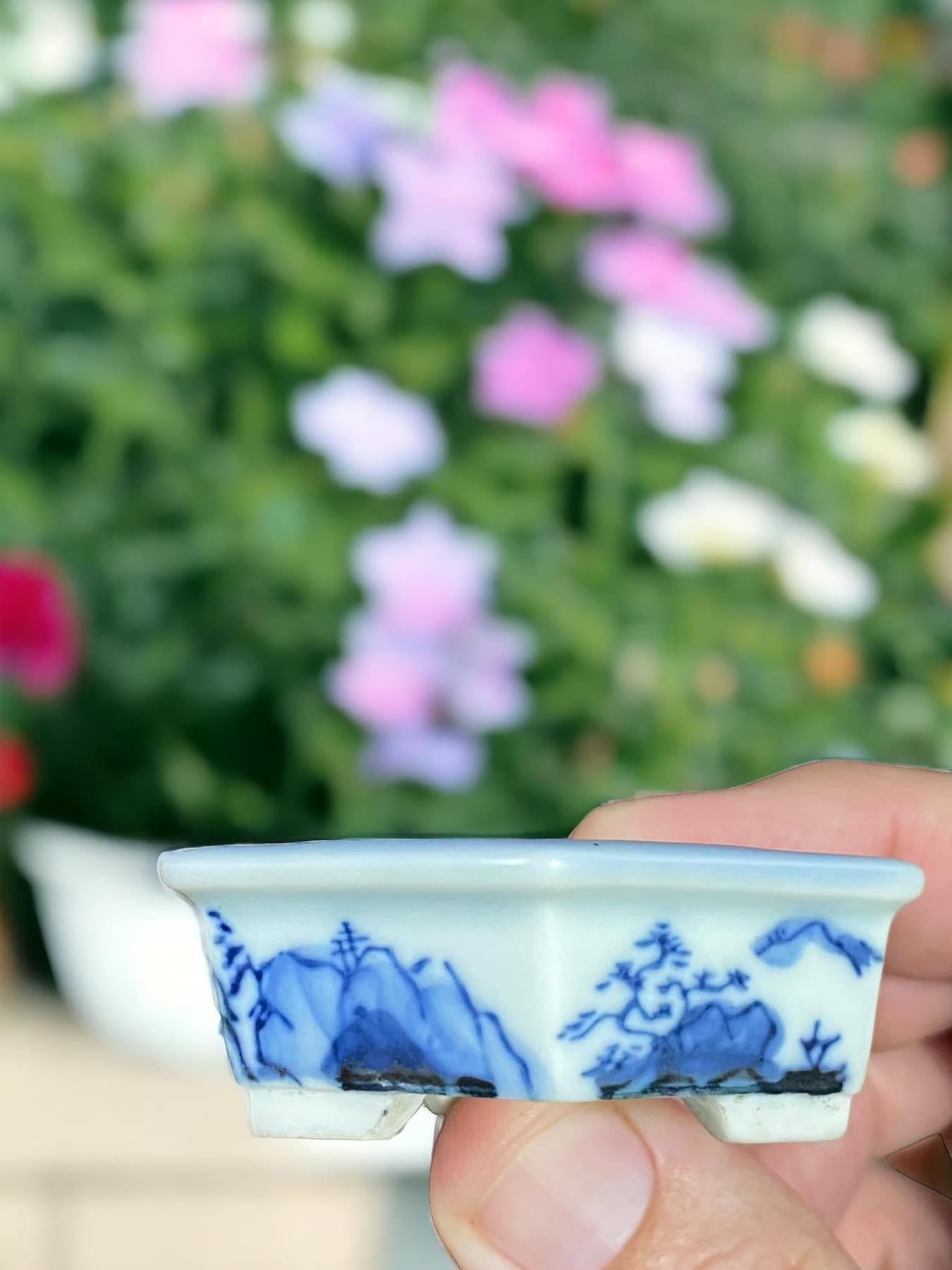 Marufuji - Mame Scenic Hexagon Bonsai Pot (2-1/4" wide)