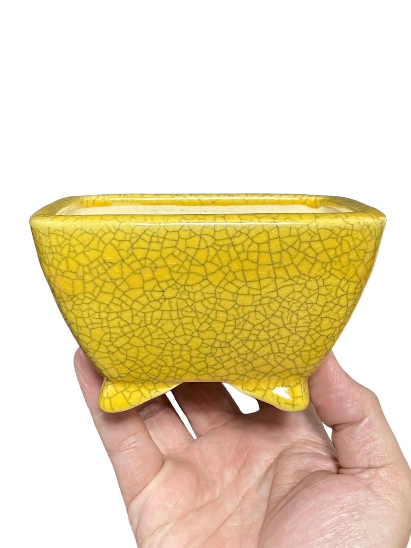 Koyo - Rare Yellow Crackle Glazed Bonsai Pot (5-1/4" wide)