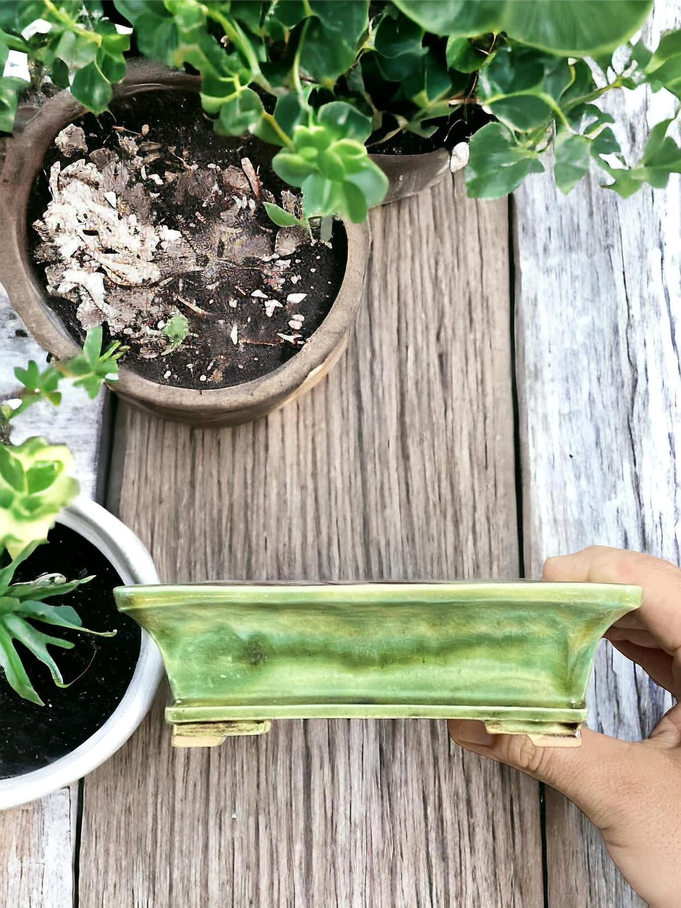 Fukuda Keiun - Stellar Crackle Glazed Rectangle Bonsai Pot (6-5/16” wide)