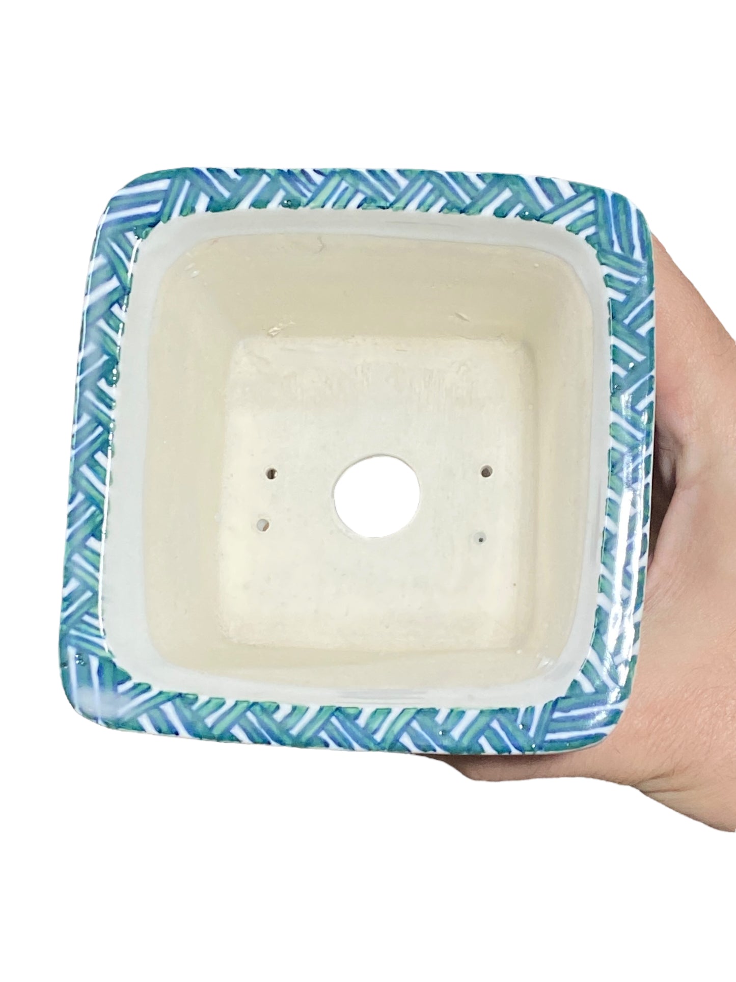 Shoseki and Shibakatsu Collab - Painted Bonsai Pot 4-7/8" wide)