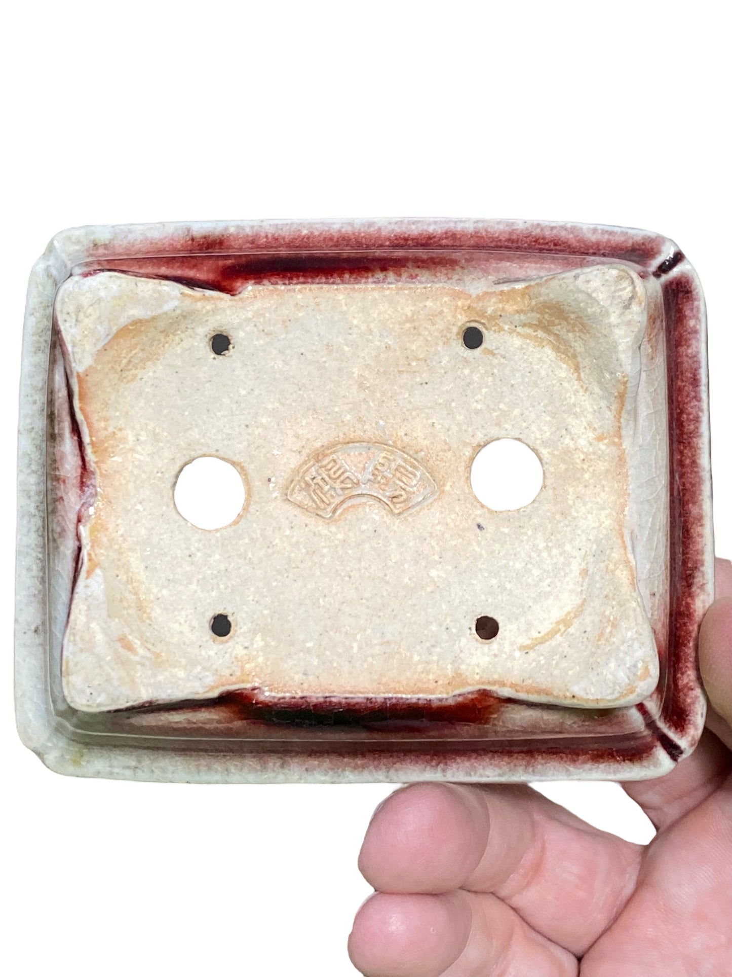 Koyo - Stellar Glazed Shohin Rectangle Bonsai Pot (4-1/8" wide)