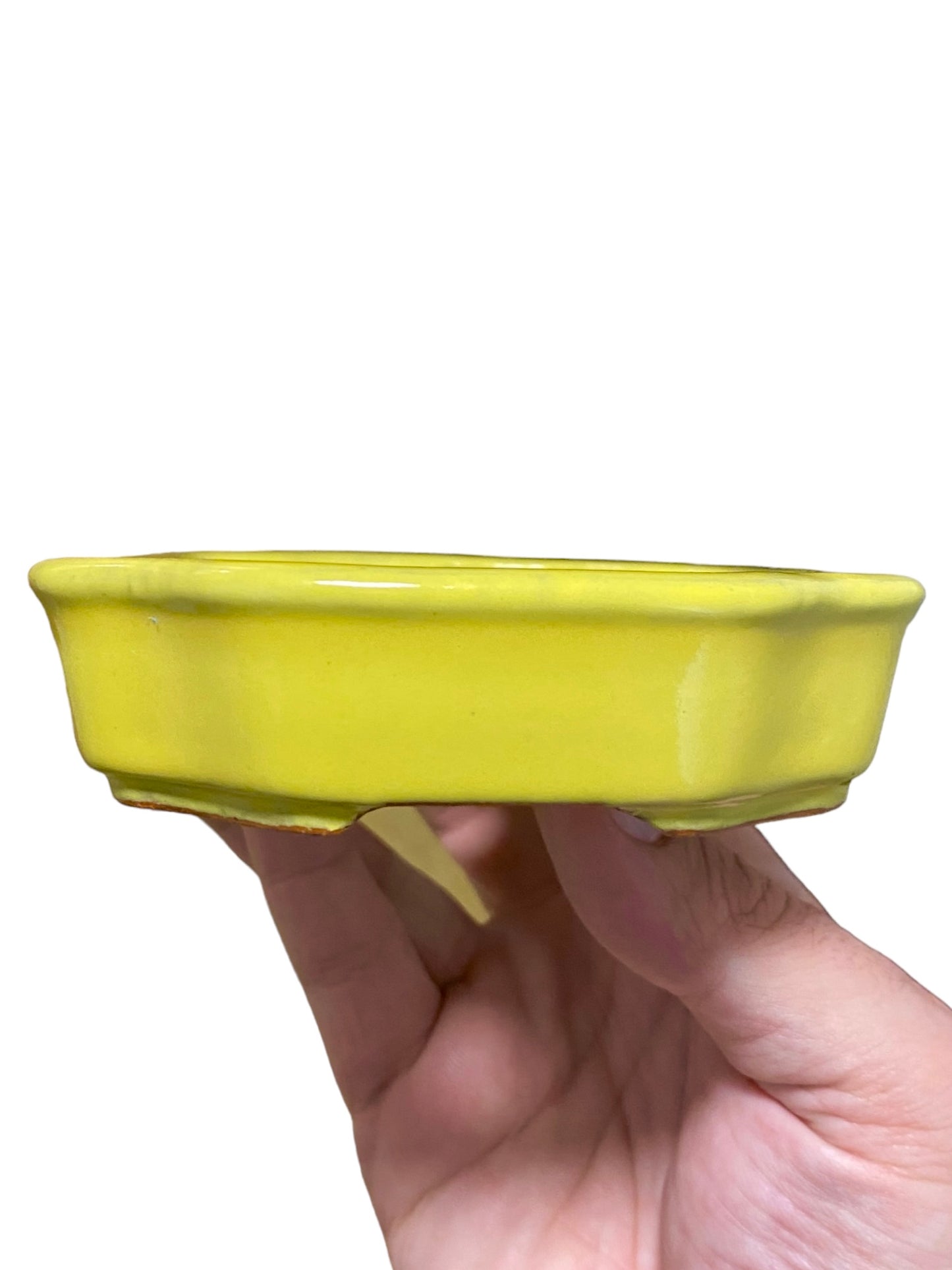 Ikko - Yellow Glazed Mokko Style Bonsai or Accent Pot (5-7/8” wide)