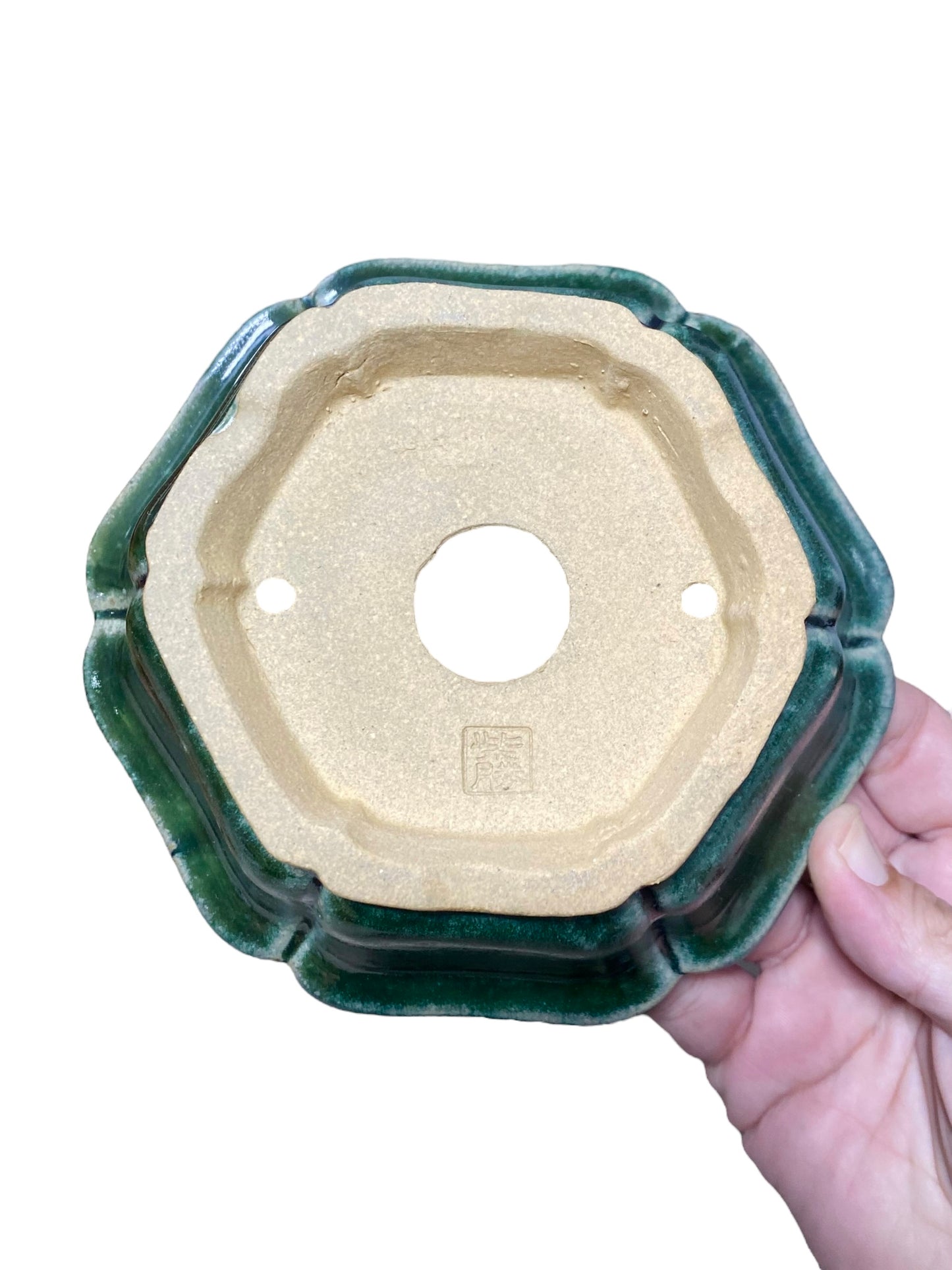 Shibakatsu - Green Glazed Traditional Flower Style Bonsai Pot (6-1/4" wide)