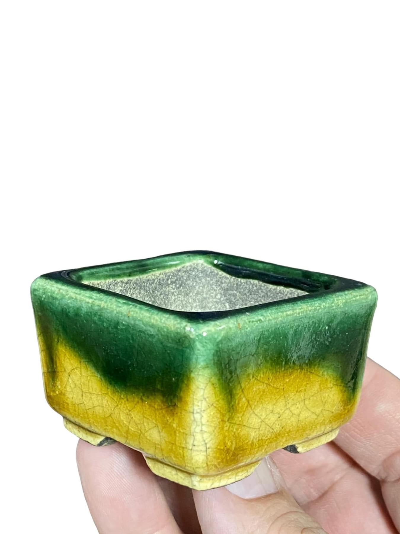 Satomi Terahata - Green and Yellow Glazed Bonsai or Accent Pot (2-5/32” wide)