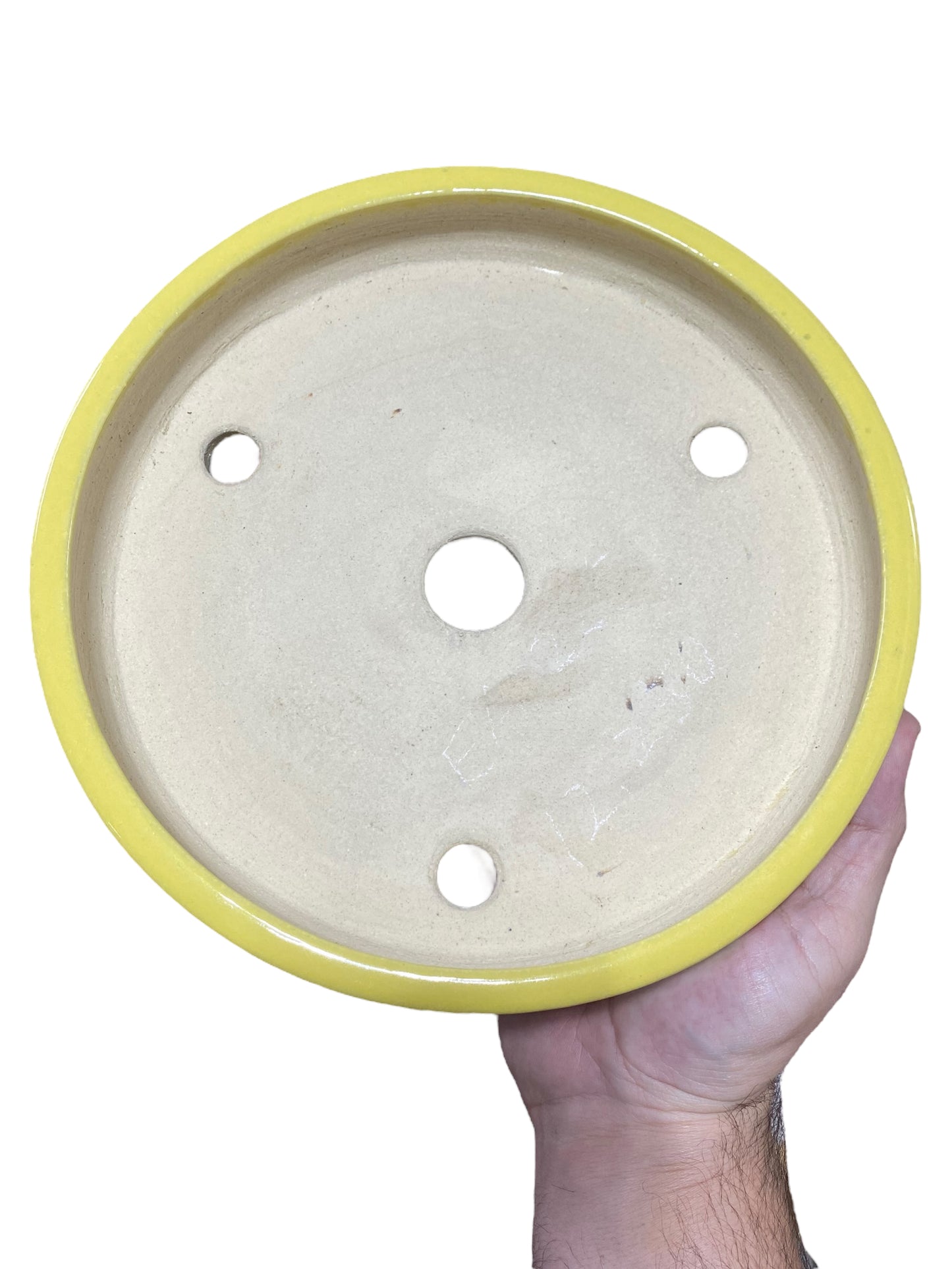 Koyo Kiln - Large Yellow Glazed Shallow Round Bonsai Pot