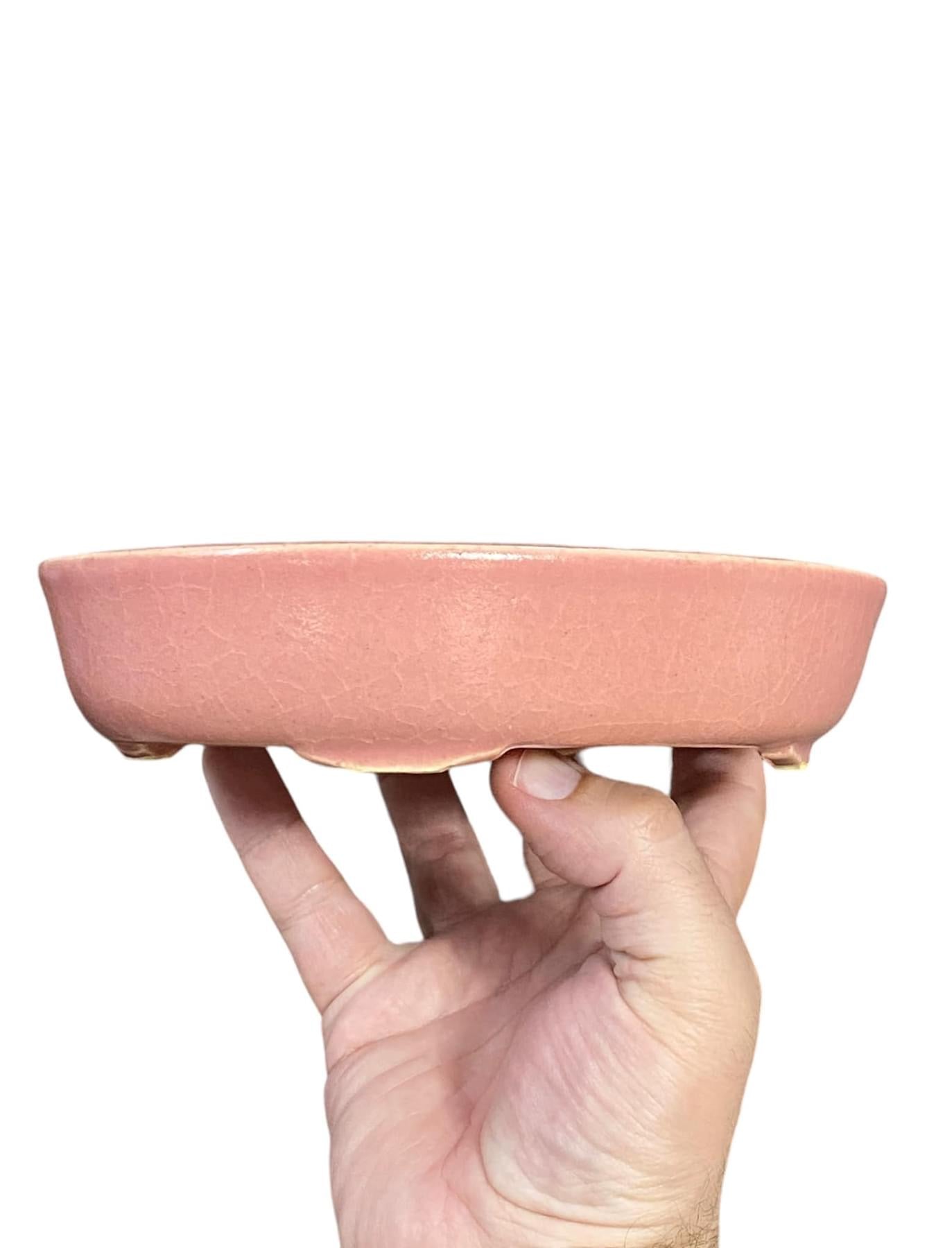 Kiyoshi Kiowai “Fuka” - Beautiful Candy Pink Glazed Bonsai Pot (7-7/8” wide)