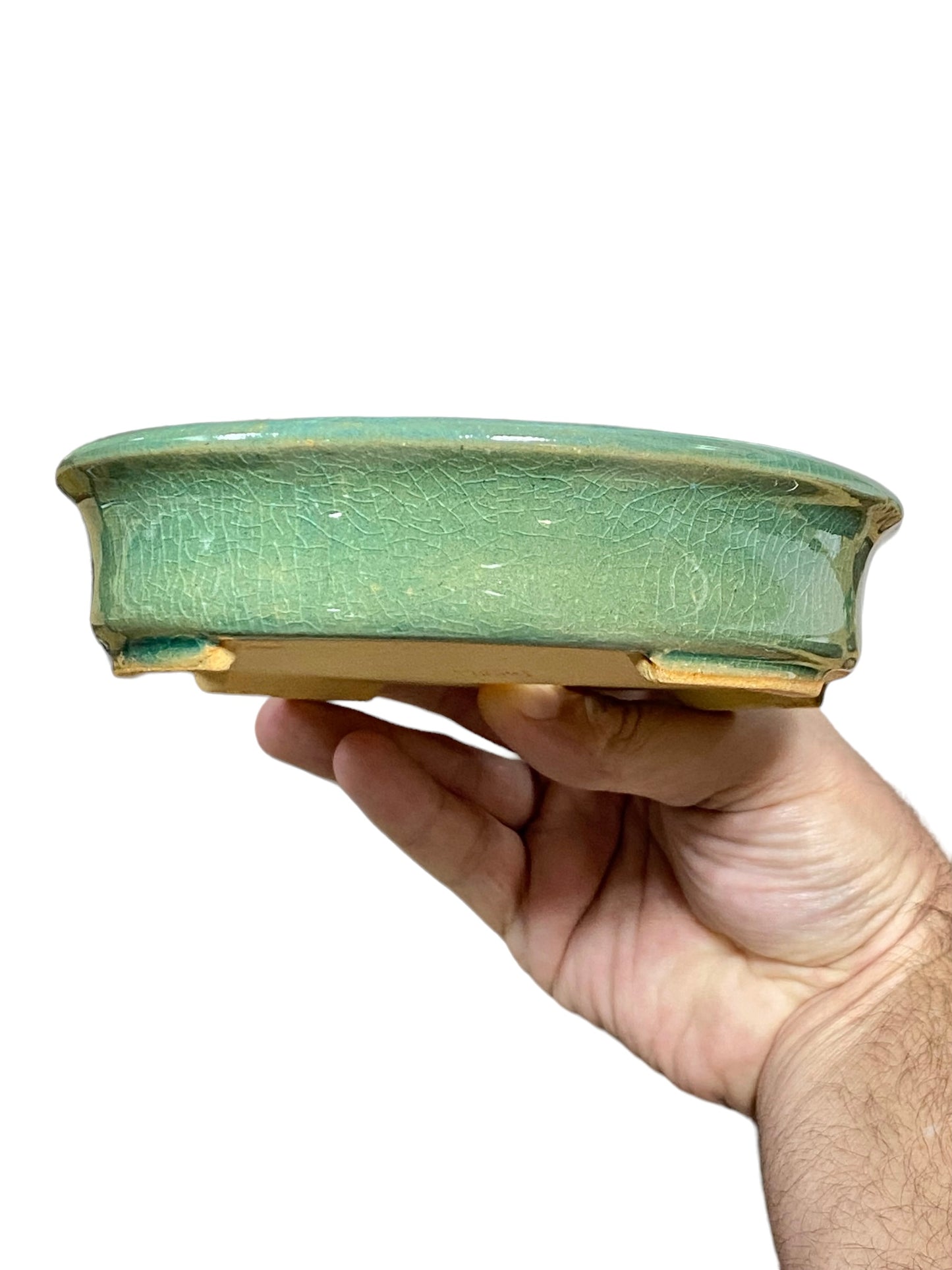 Shibakatsu - Stellar Crackle Glazed Oval Style Bonsai Pot (7-11/16" wide)