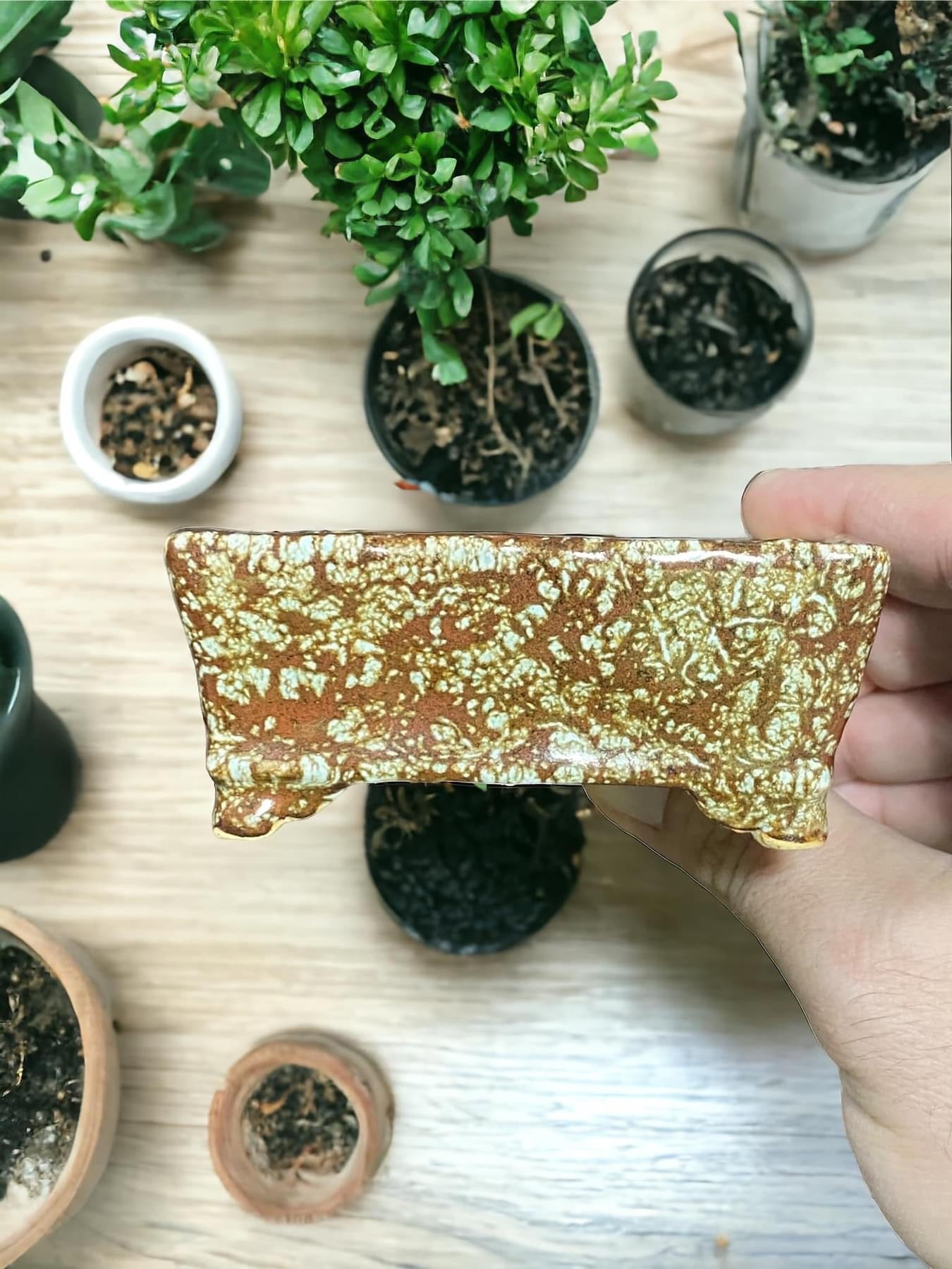 Zyubei - Stunning Glazed Rectangle Bonsai Pot (3-3/4” wide)