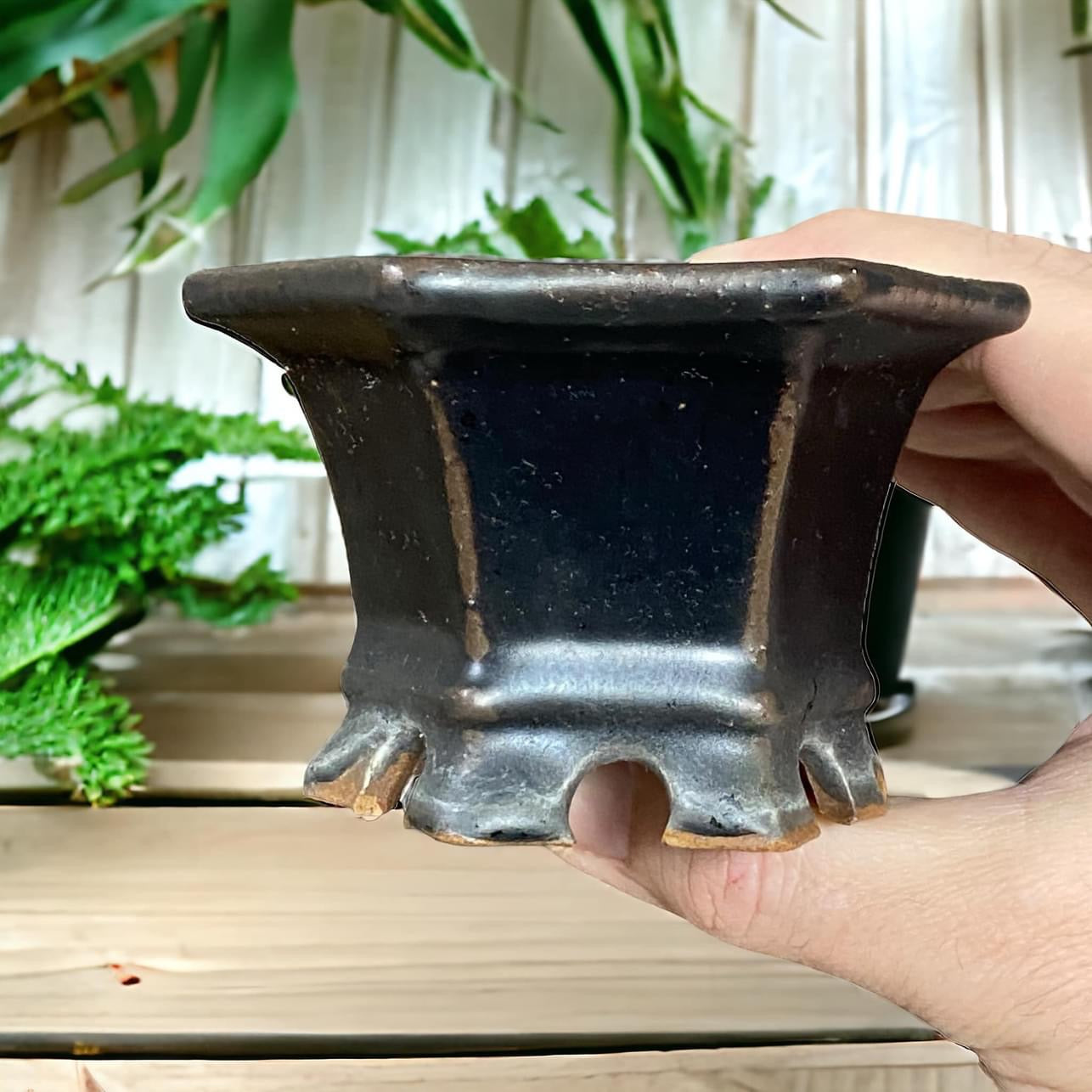 Japanese - Stout Black Hexagon Bonsai Pot (3-3/8" wide)