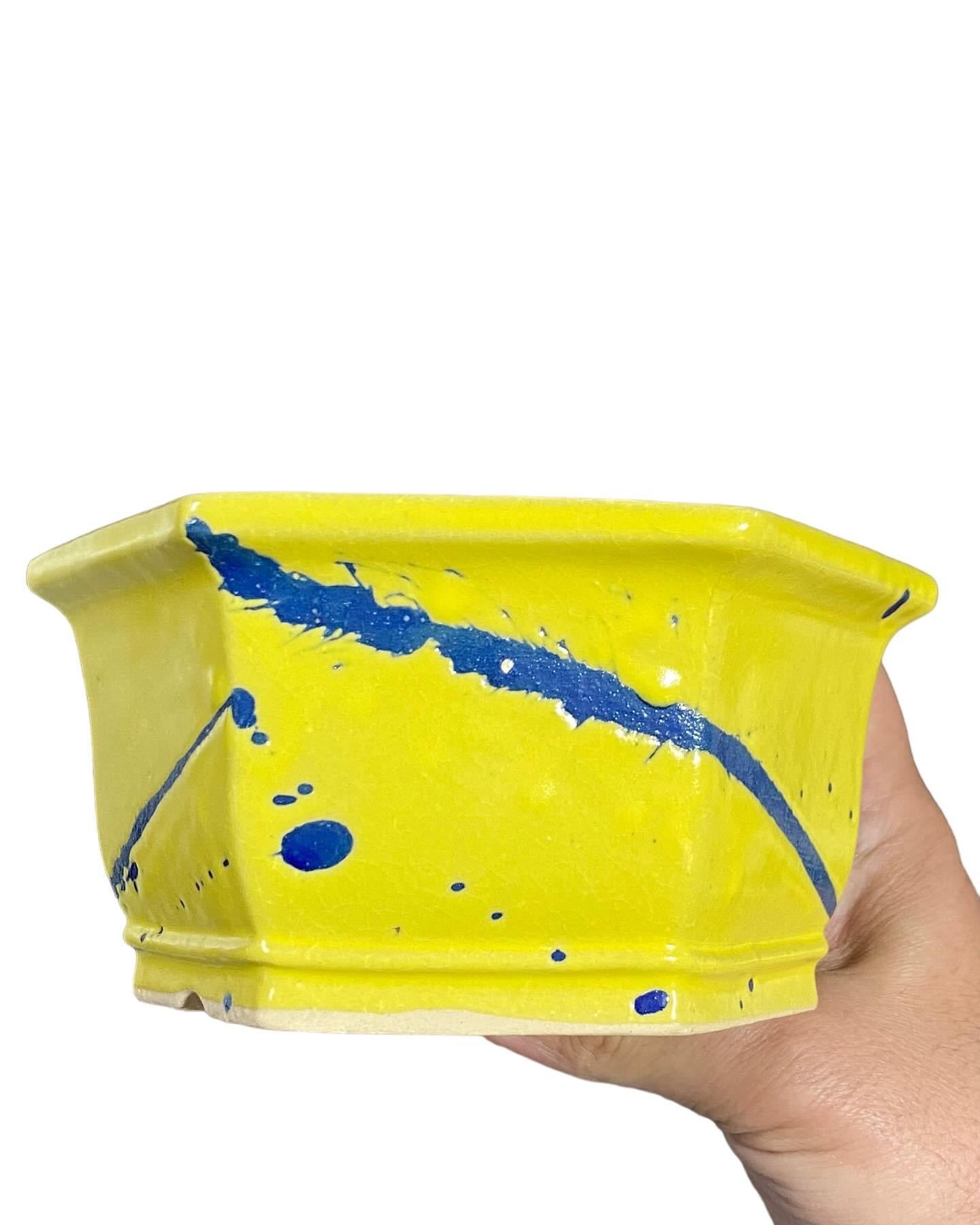 Shibakatsu - Yellow and Blue Glazed Bonsai Pot