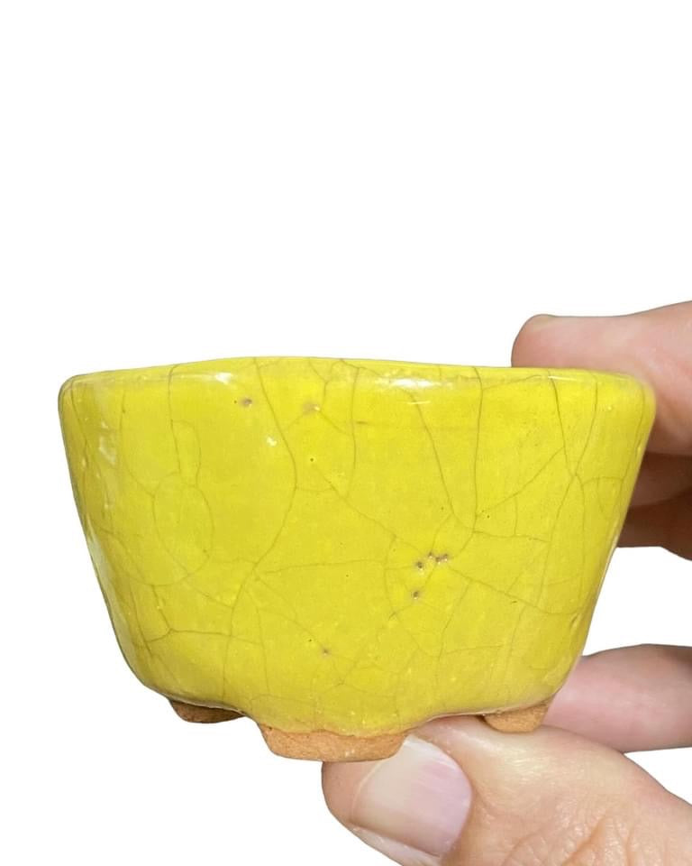 Mituyama - Yellow Crackle Glazed Bonsai Pot (2-1/2” wide)