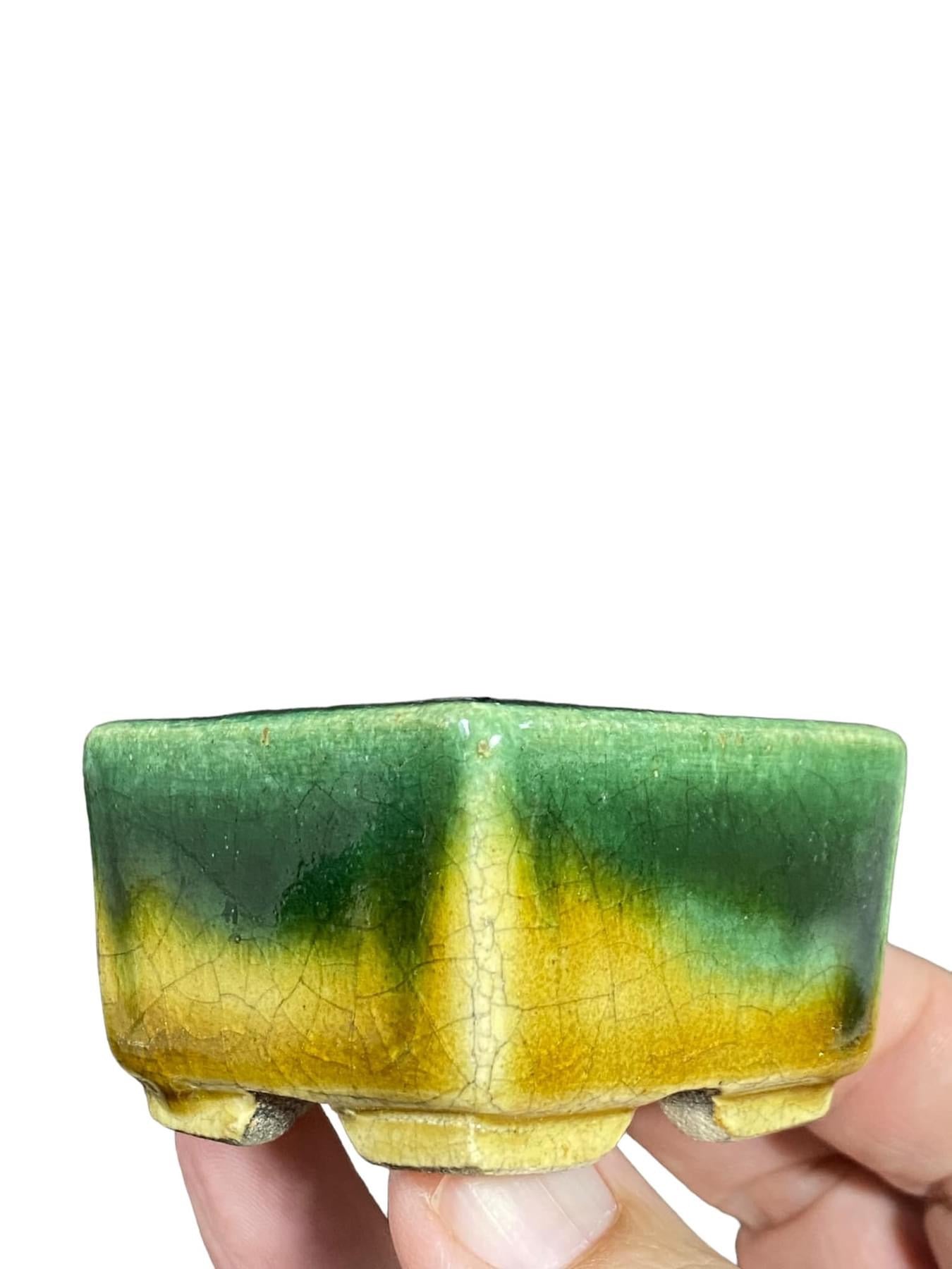 Satomi Terahata - Green and Yellow Crackle Glazed Bonsai Pot (2-3/16” wide)