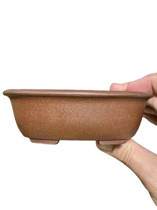 Ikko - Exhibition Quality Unglazed Oval Bonsai Pot (5-3/8” wide)
