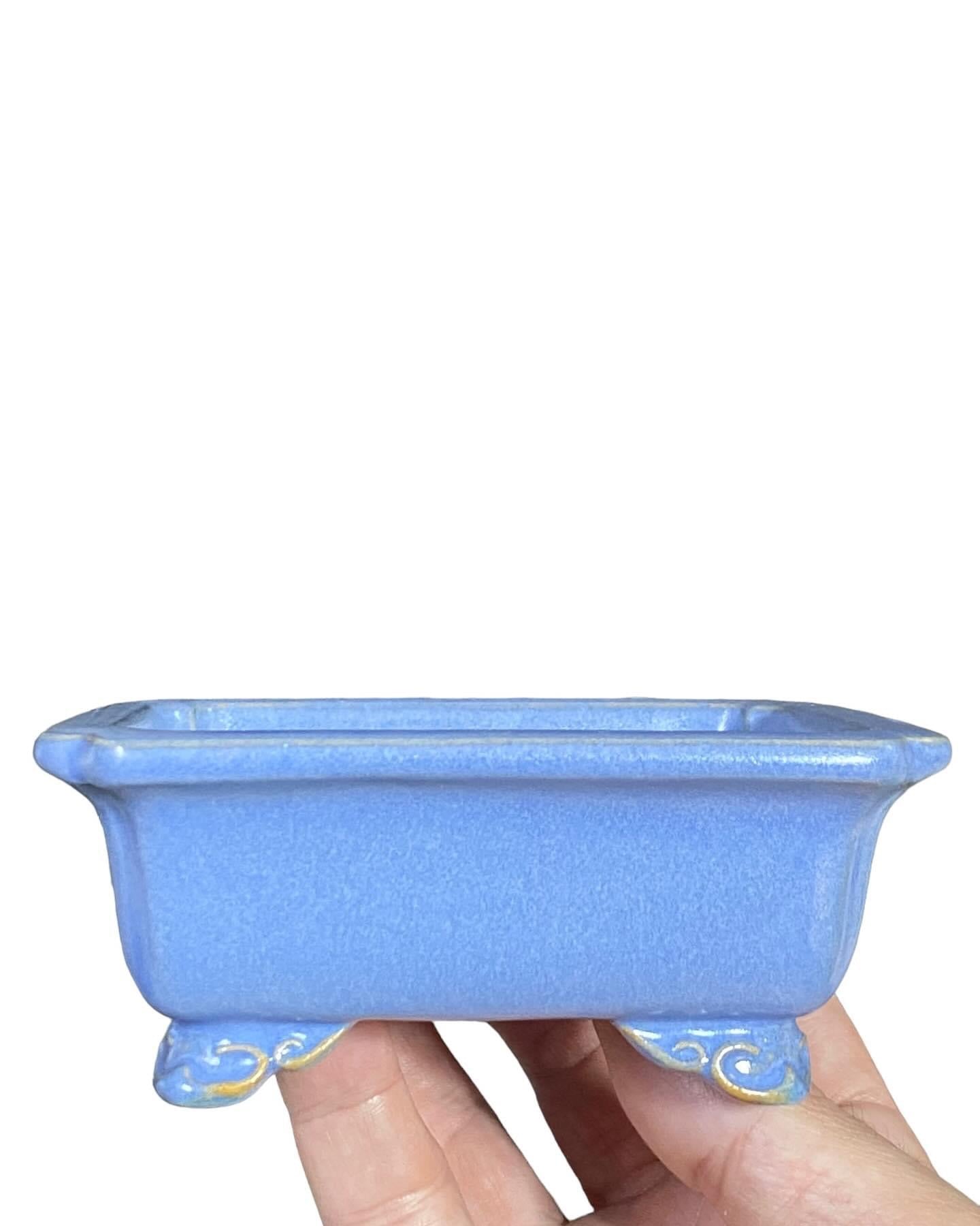 Shozan - Creamy Light Blue Bonsai Pot (4-11/16” wide)