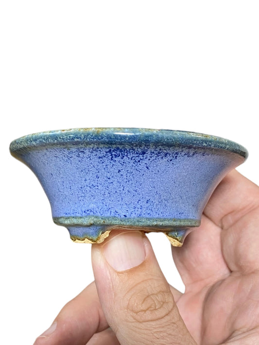 Hattori - Rare Periwinkle with Spray Oval Bonsai Pot