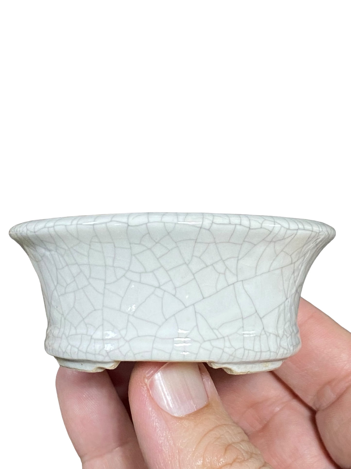 Eimei - White Crackle Glazed Oval Bonsai Pot