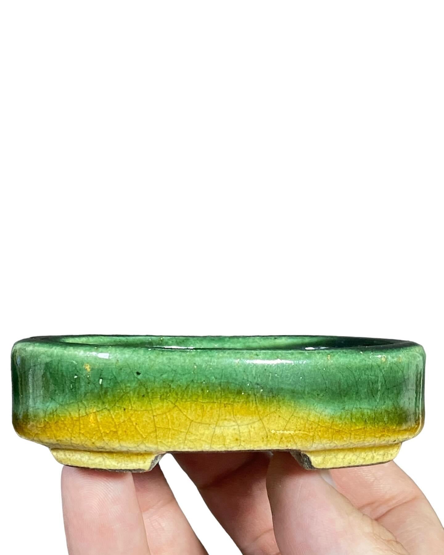 Satomi Terahata - Beautiful Glazed Oval Bonsai Pot (3-11/16” wide)