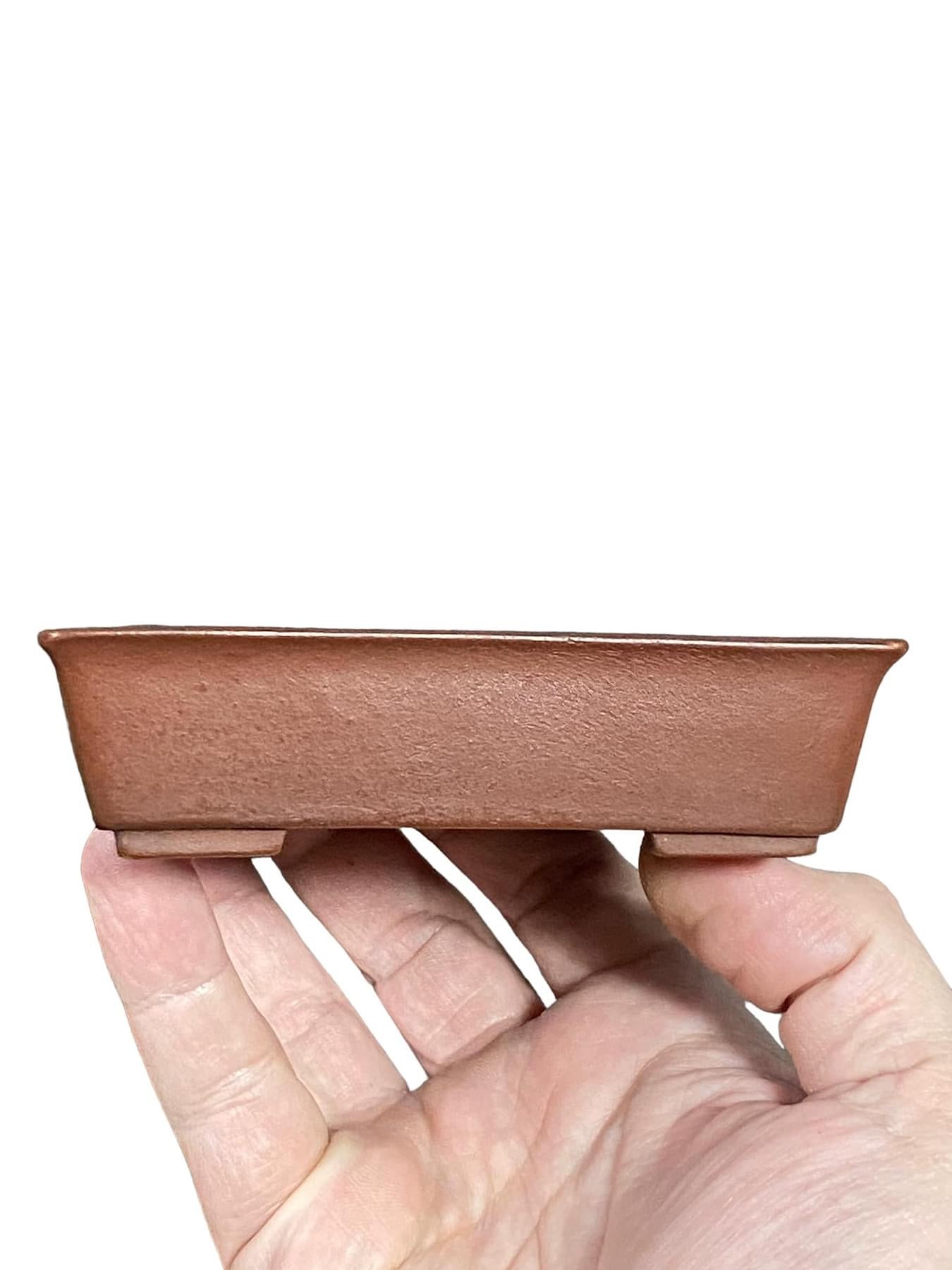 Senkouen - Stellar Square Bonsai or Accent Pot (4-1/2" wide)