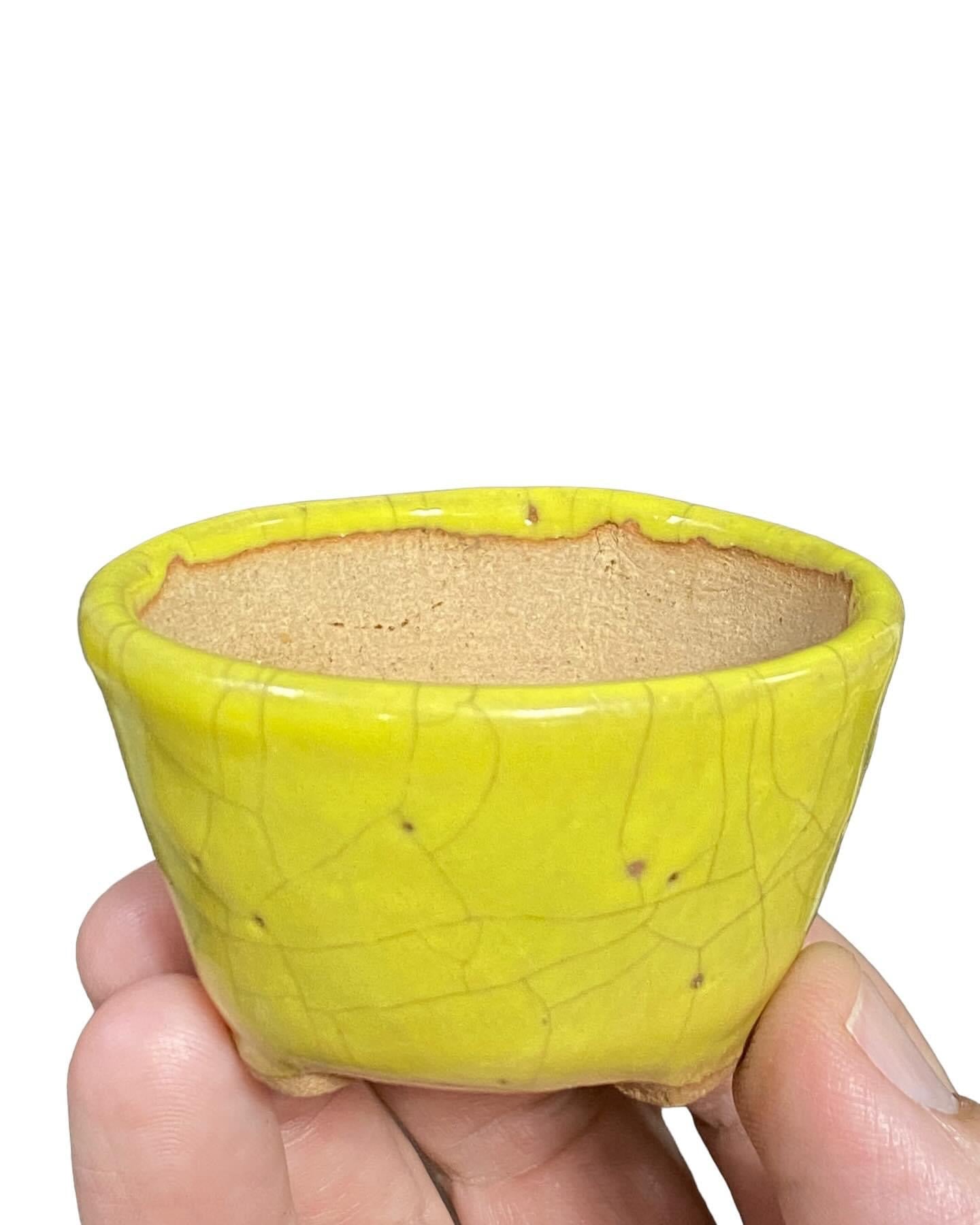 Mituyama - Yellow Crackle Glazed Bonsai Pot (2-1/2” wide)