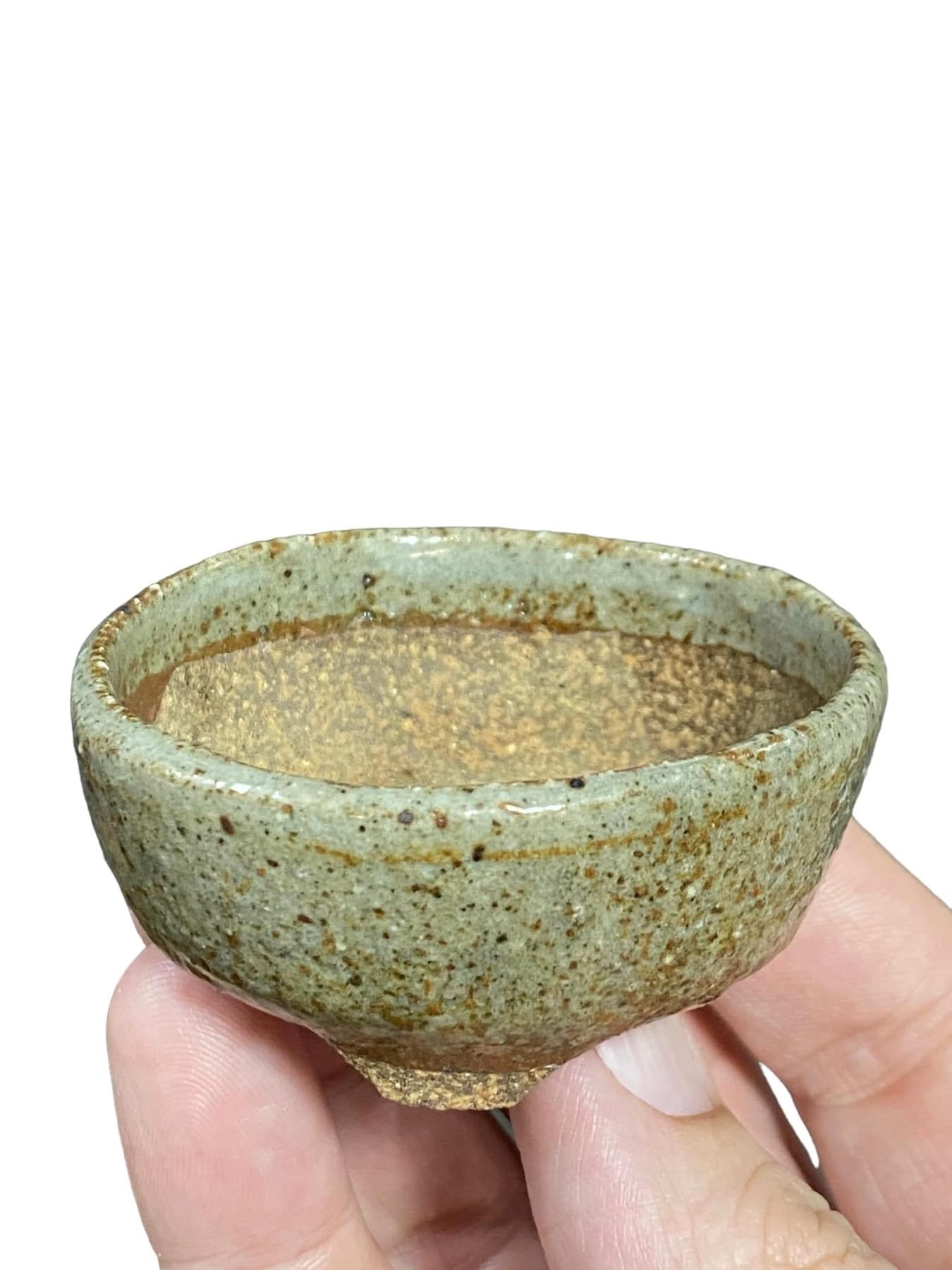 Mituyama - Old Glazed Bonsai Pot