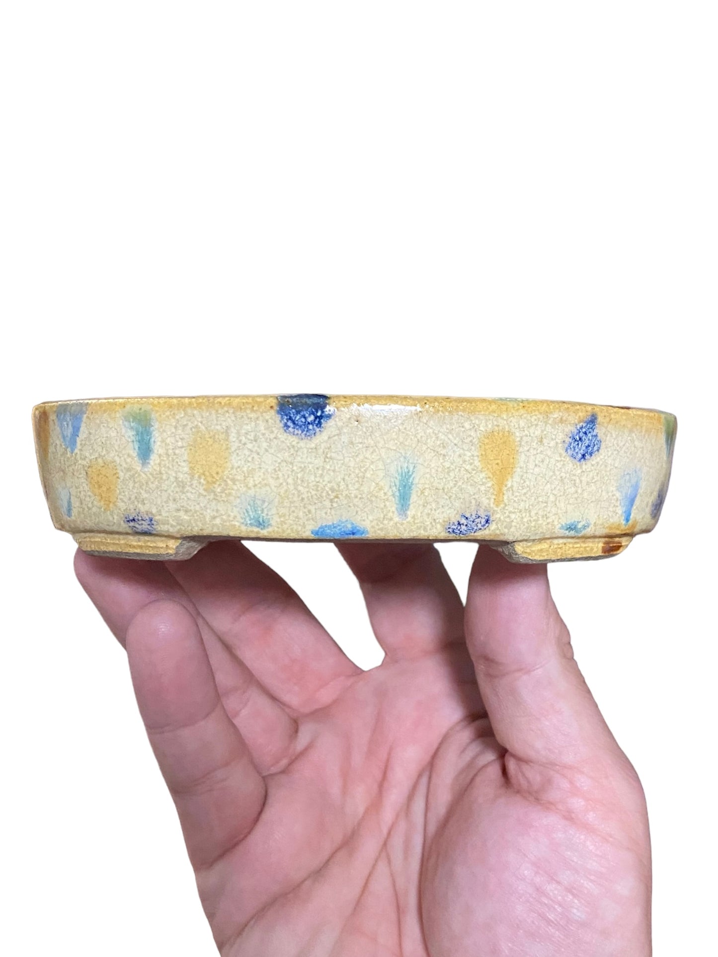 Satomi Terahata - Polka-Dot Glazed Oval Bonsai or Accent Pot (5-1/2" wide)