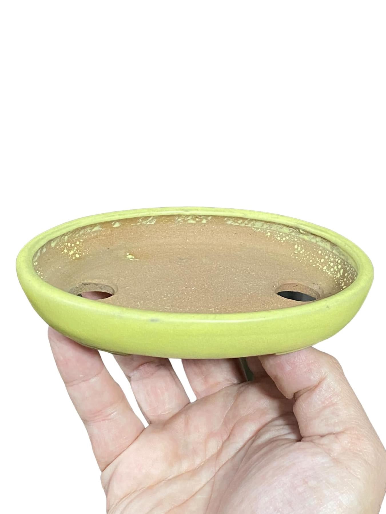 Yamafusa - Rare Shallow Oval Bonsai Pot