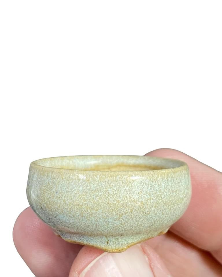 Isso - Fantastic Namaco Glazed Bonsai or Accent Pot (1-7/16” wide)