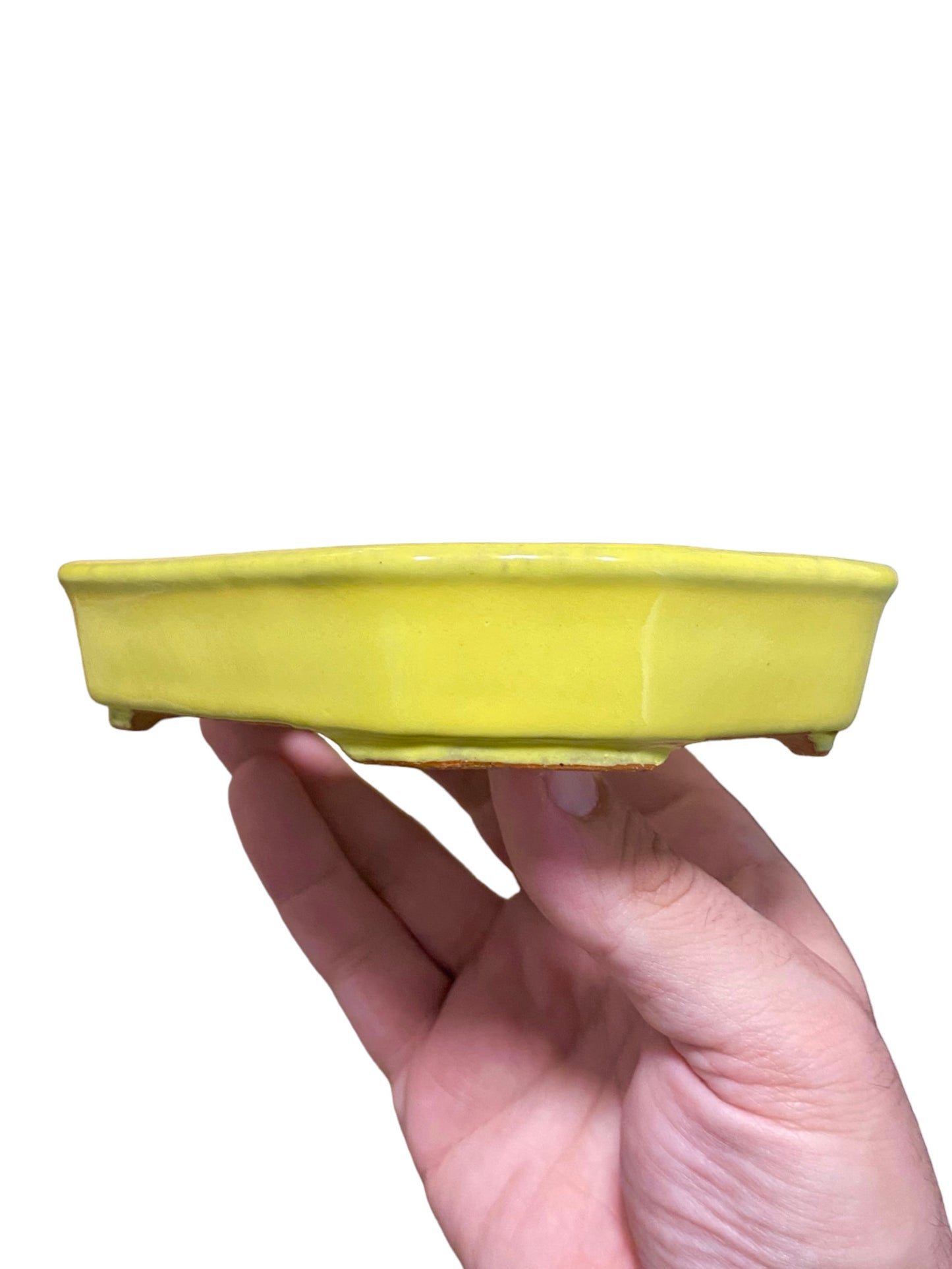 Ikko - Yellow Glazed Mokko Style Bonsai or Accent Pot (5-7/8” wide)