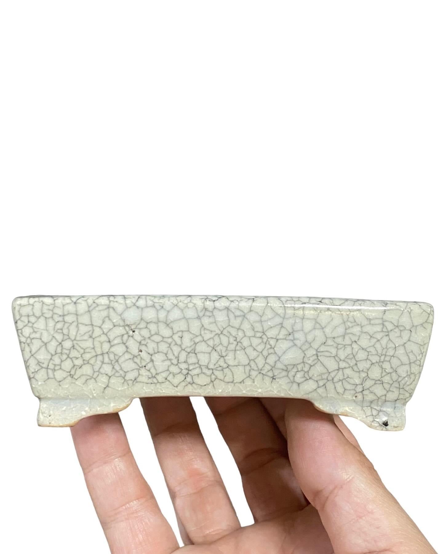 Shibakatsu - White Crackle Glazed Rectangle Style Bonsai Pot (4-15/16” wide)