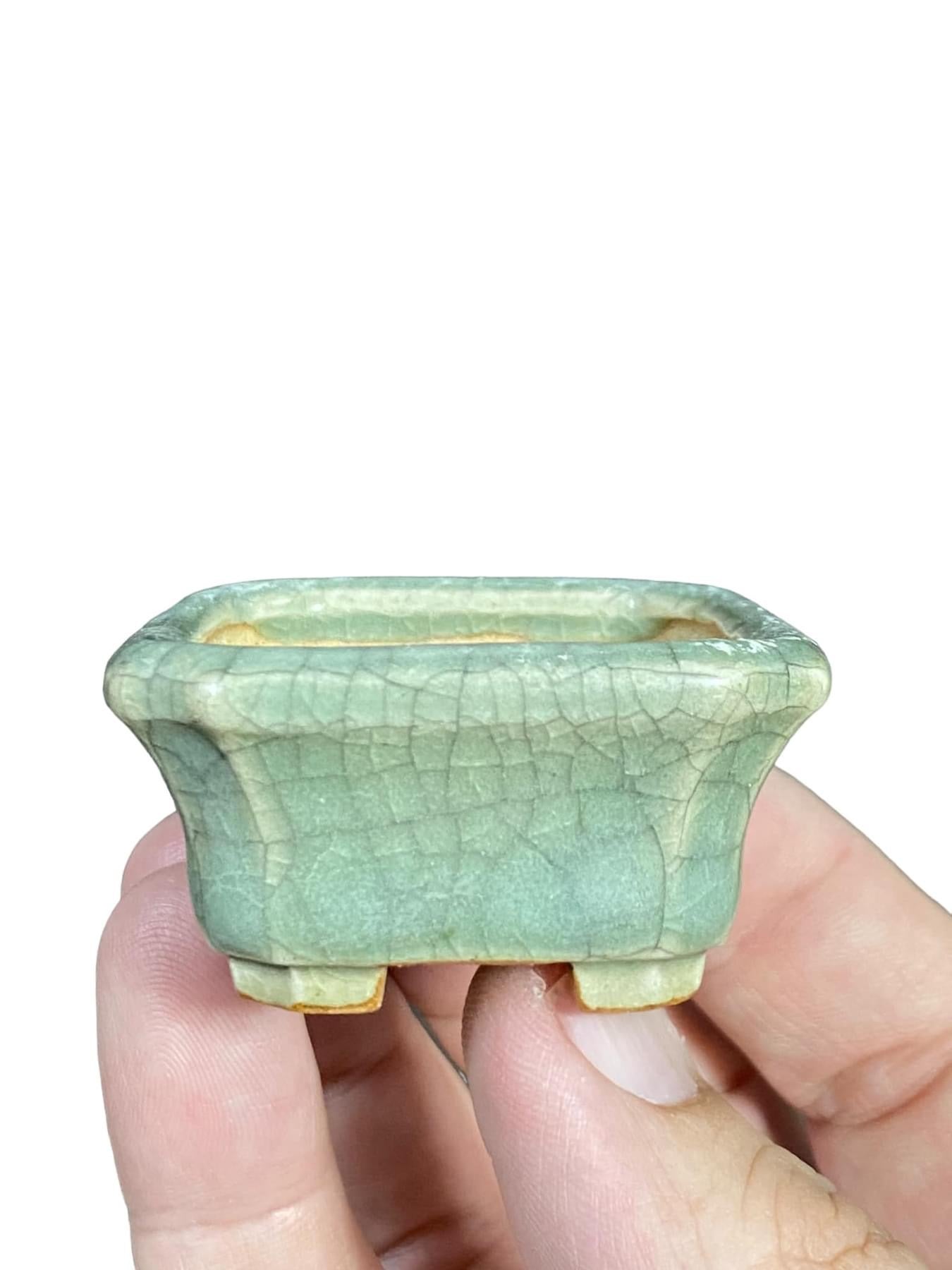 Eimei - Stellar Crackle Glazed Bonsai Pot with Patina (2-3/8” wide)