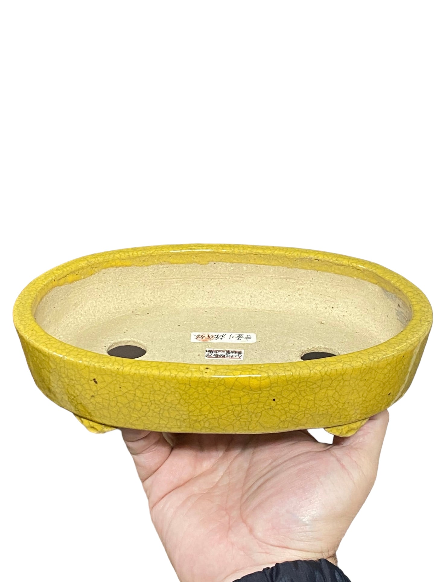 Koyo - Rare Yellow Crackle Glazed Oval Bonsai Pot