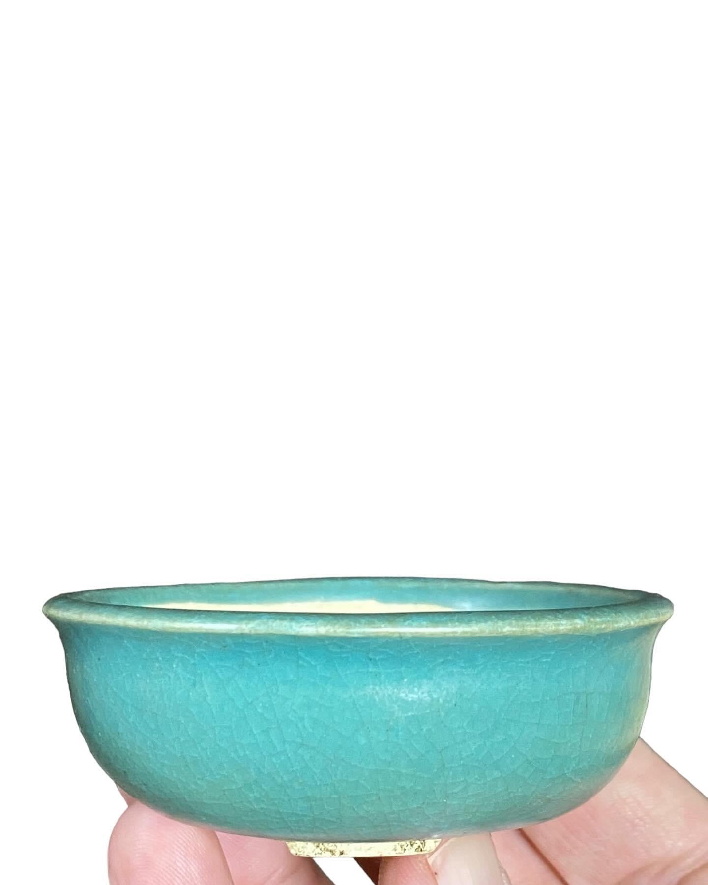 Ume - Lovely Teal Crackle Glazed Bonsai Pot (3-1/16” wide)