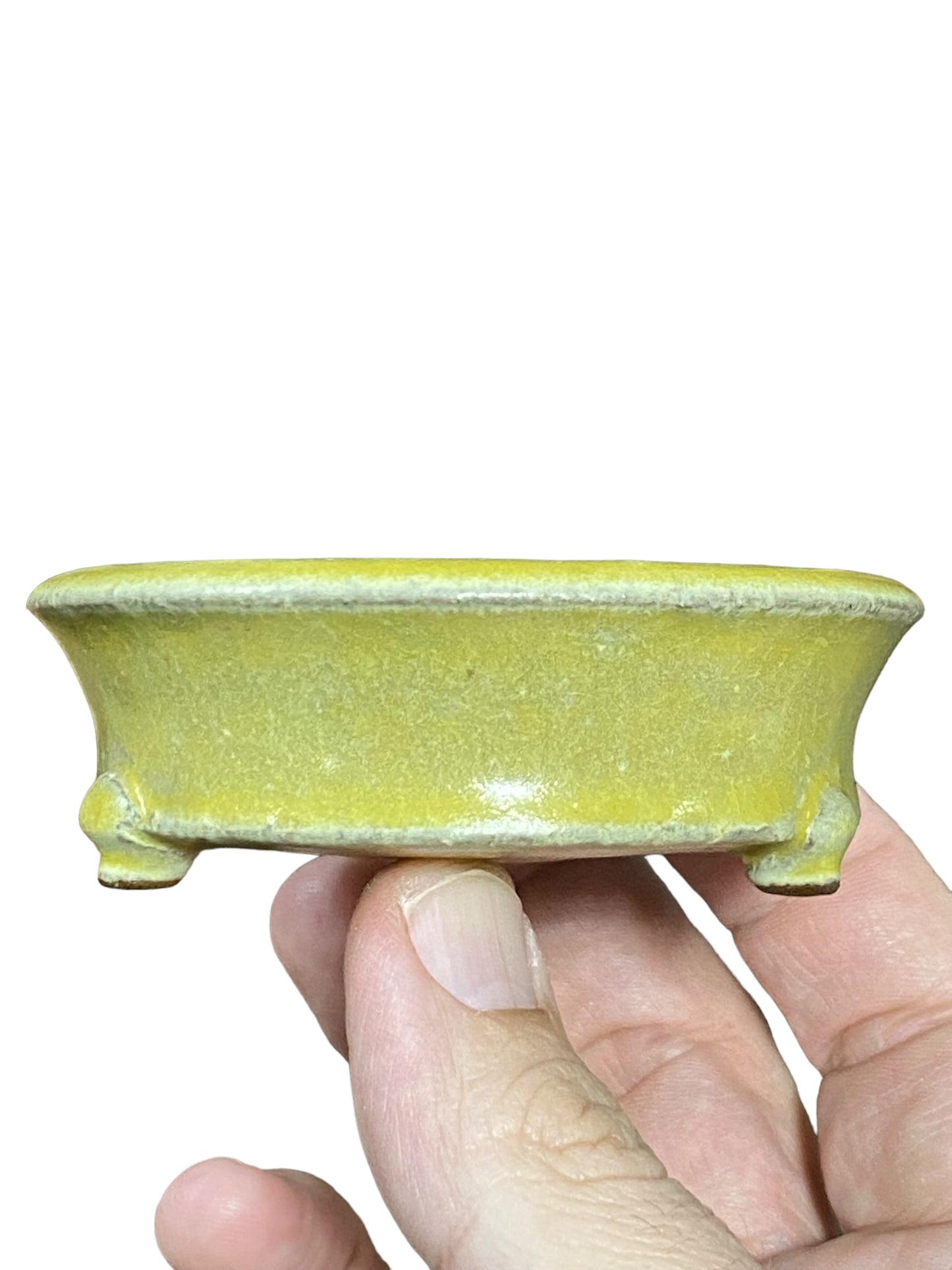 Eimei - Older Yellow Crackle Glazed Footed Round Bonsai Pot