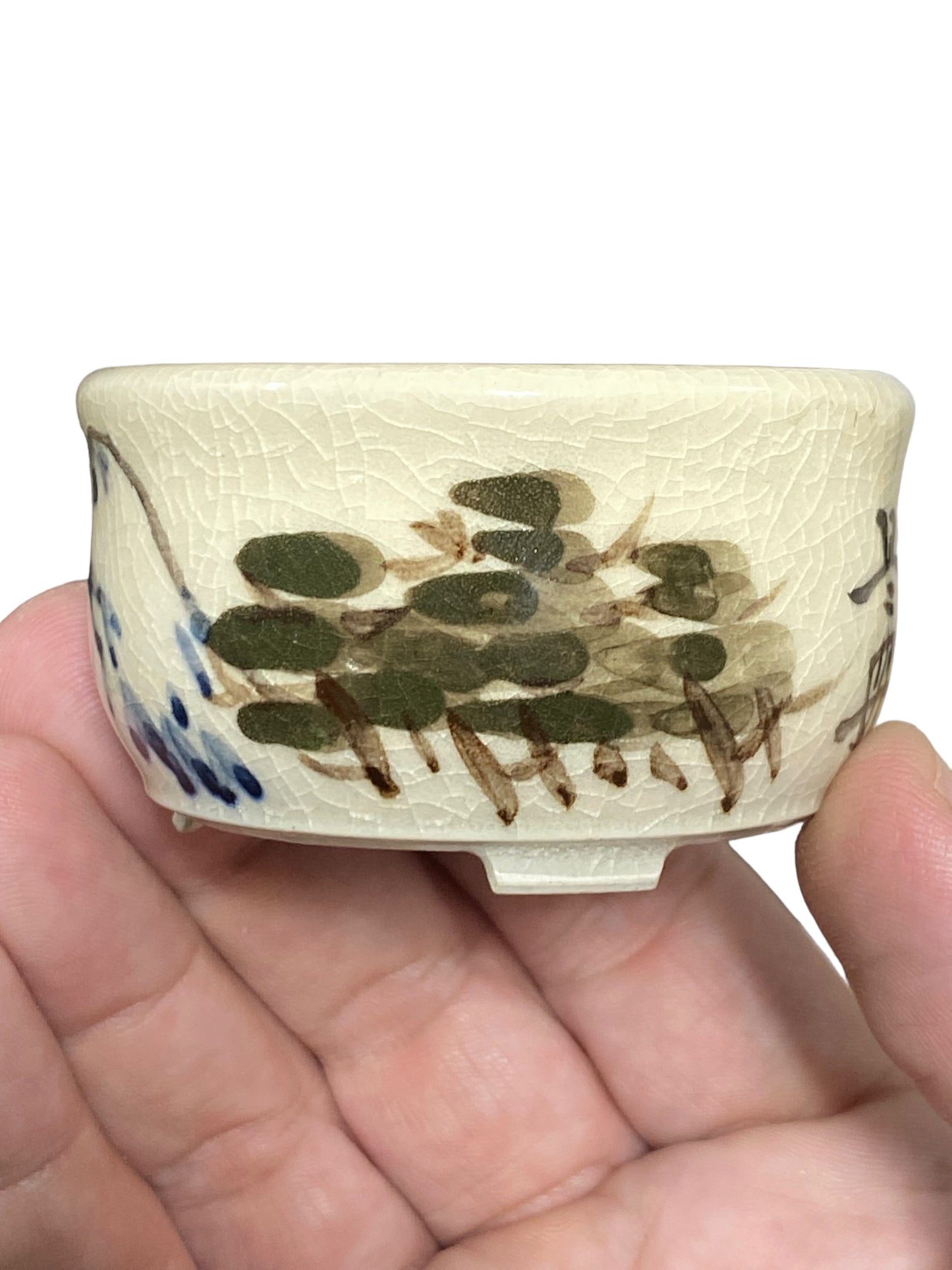 Zeko - Lovely Crackle Glazed Painted Bonsai Pot