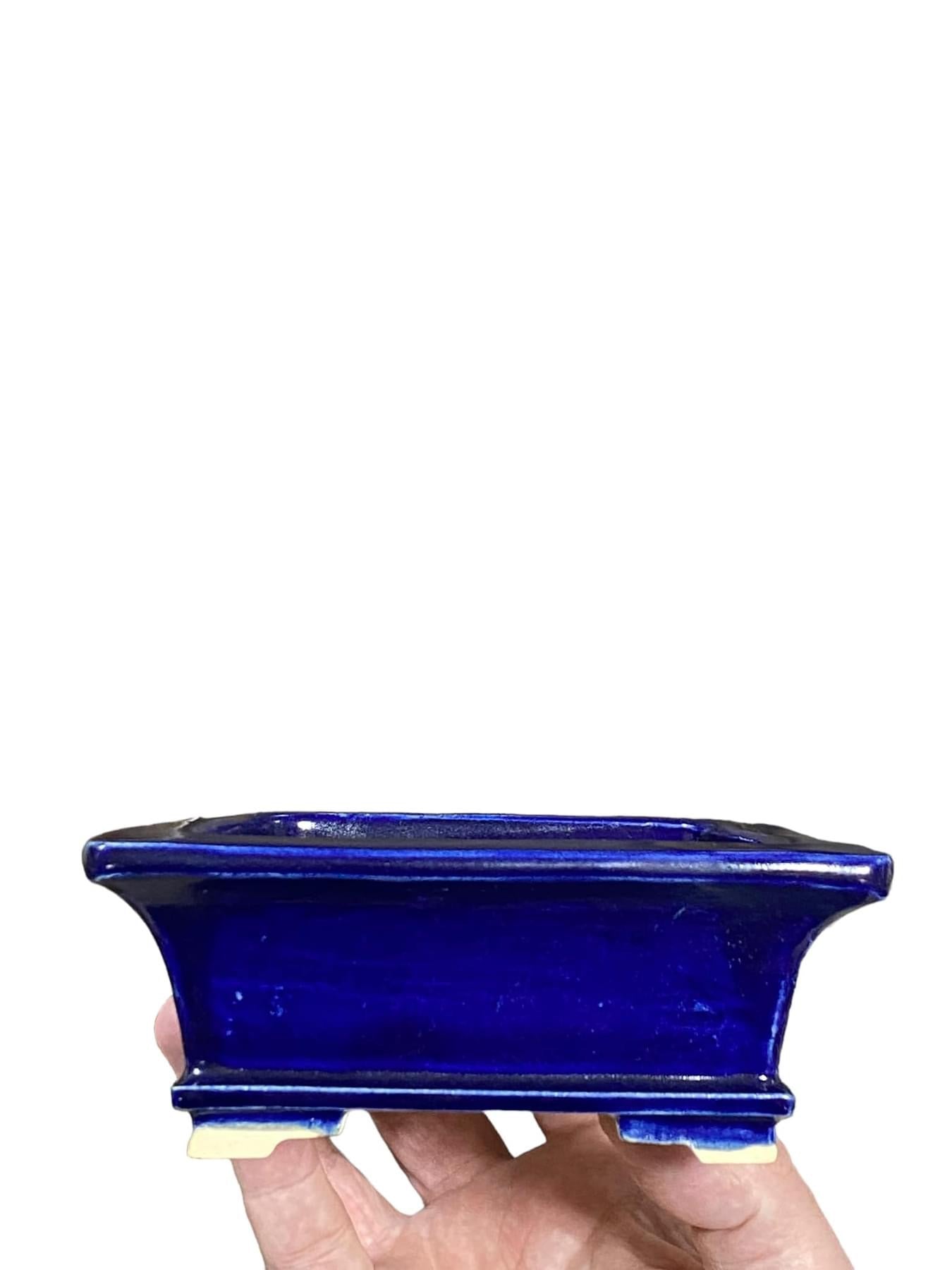 Fukuda Keiun - Royal Blue Glazed Rectangle Bonsai Pot