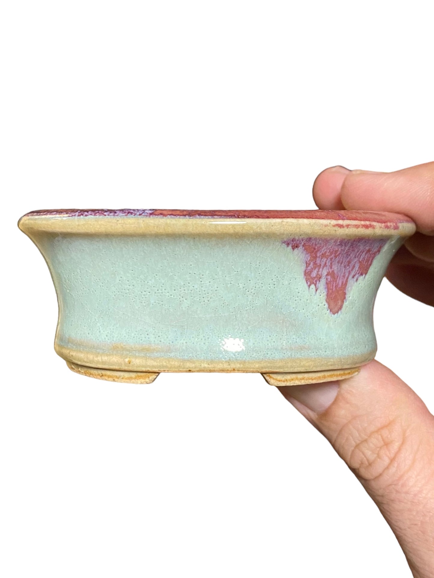 Eimei - Dual Color Crackle Glazed Bonsai Pot