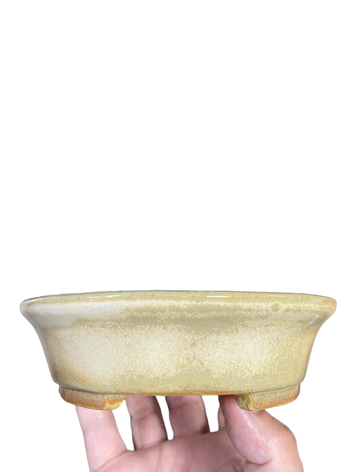 Koyo - Cream Glazed Oval Bonsai Pot (7-1/4" wide)