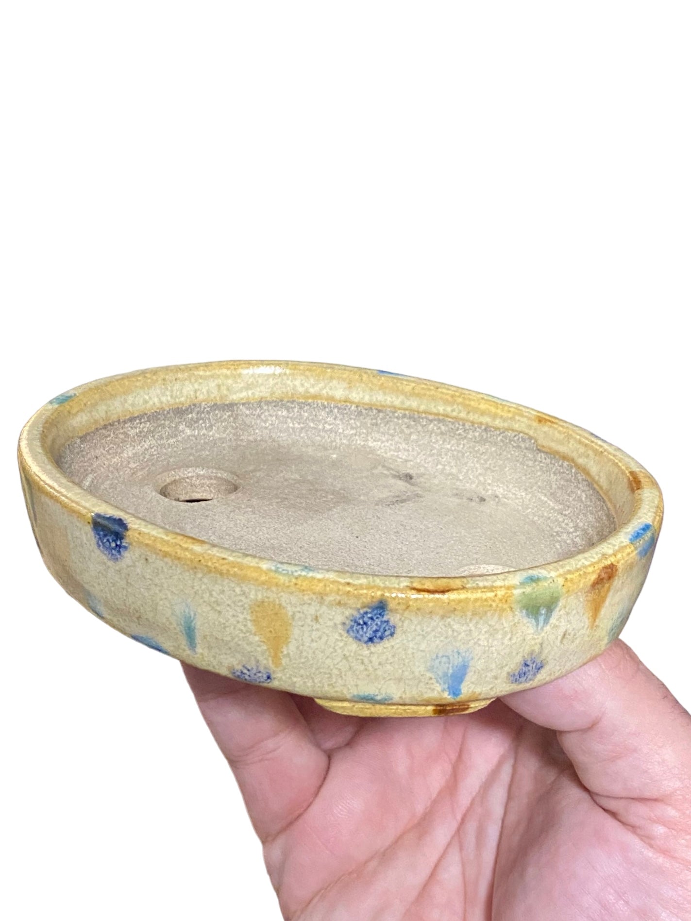 Satomi Terahata - Polka-Dot Glazed Oval Bonsai or Accent Pot