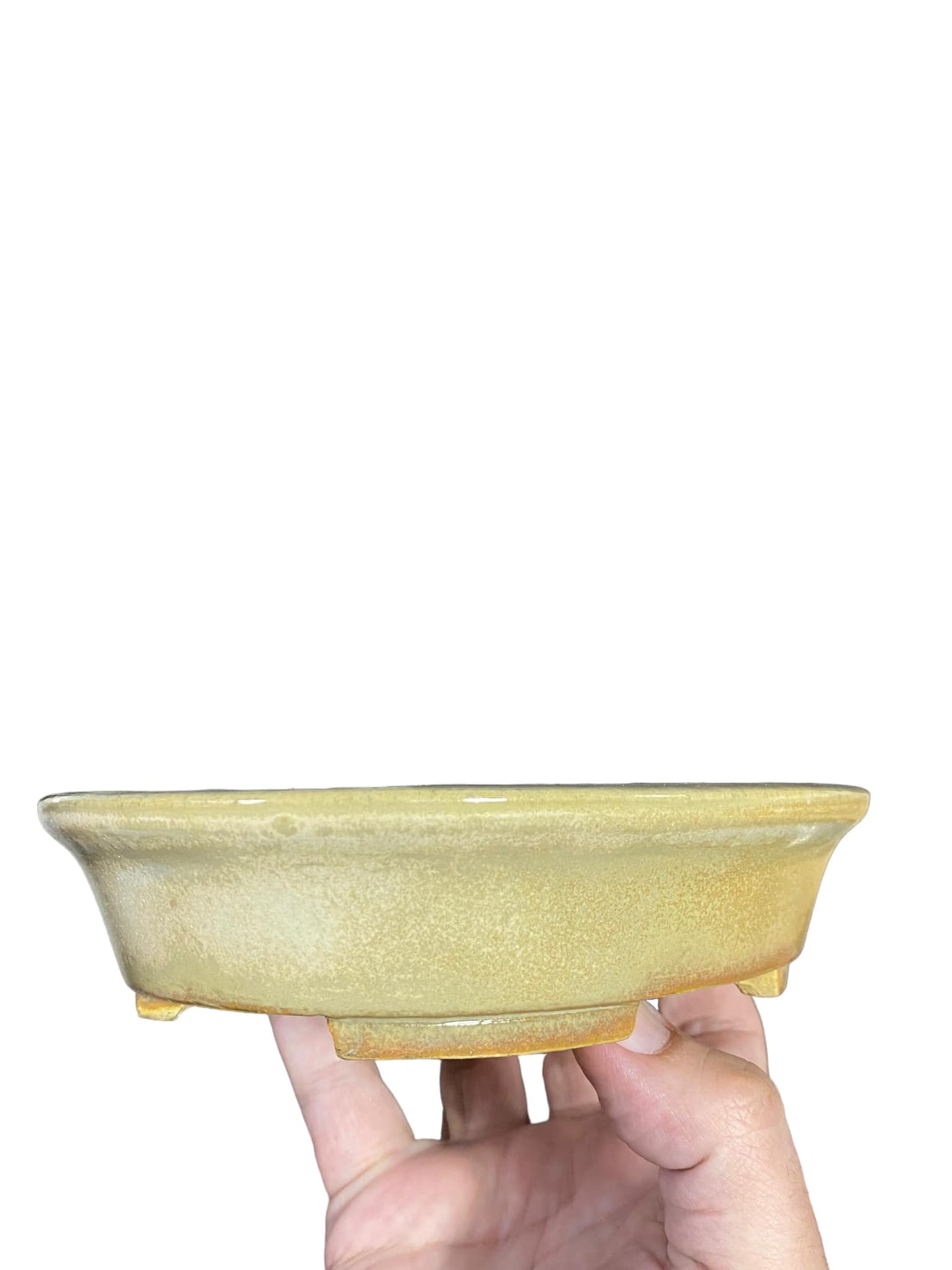 Koyo - Cream Glazed Oval Bonsai Pot (7-1/4" wide)