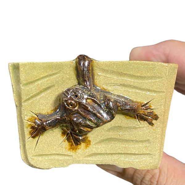 Takudo - Carved Frog on Glazed Bonsai Pot (2-3/4" wide)