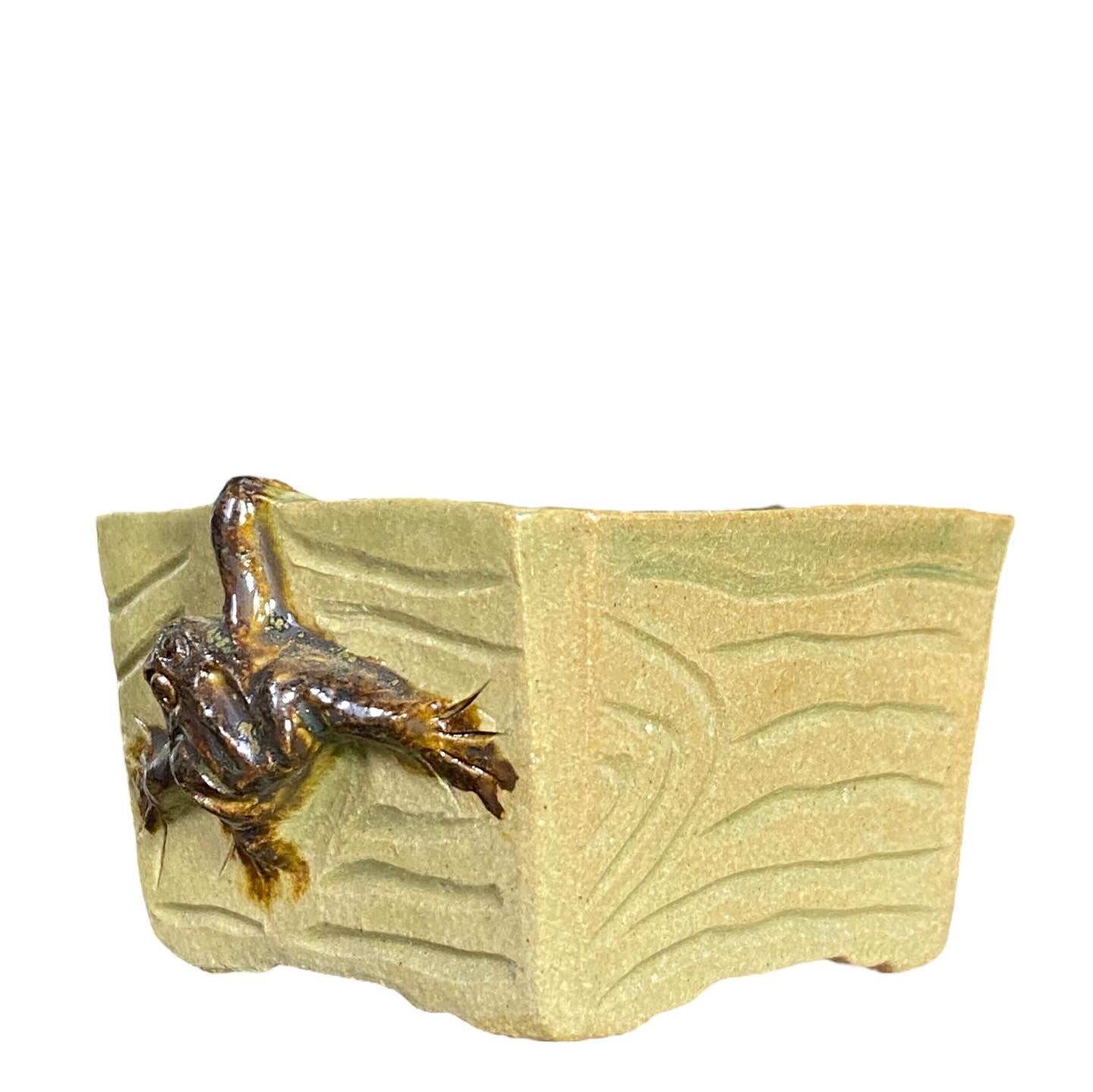 Takudo - Carved Frog on Glazed Bonsai Pot (2-3/4" wide)