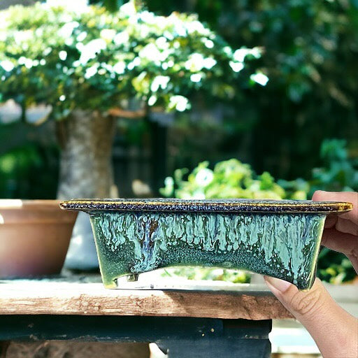 Kiyoshi Kiowai “Fuka” - Exquisitely Glazed Bonsai Pot (6" wide)