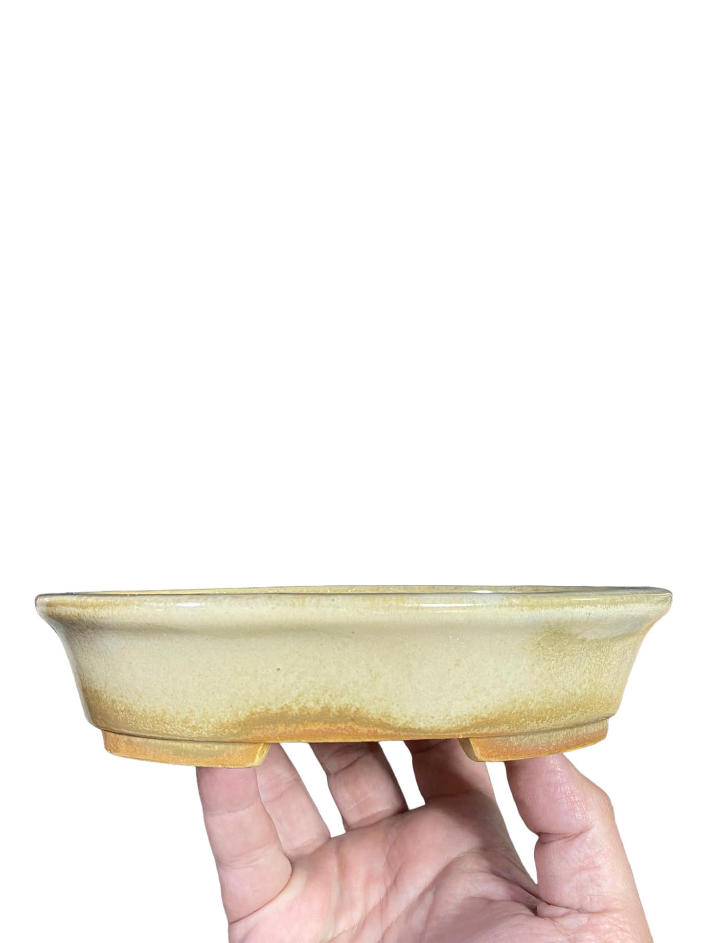 Koyo - Cream Glazed Oval Bonsai Pot (7-1/4" wide)