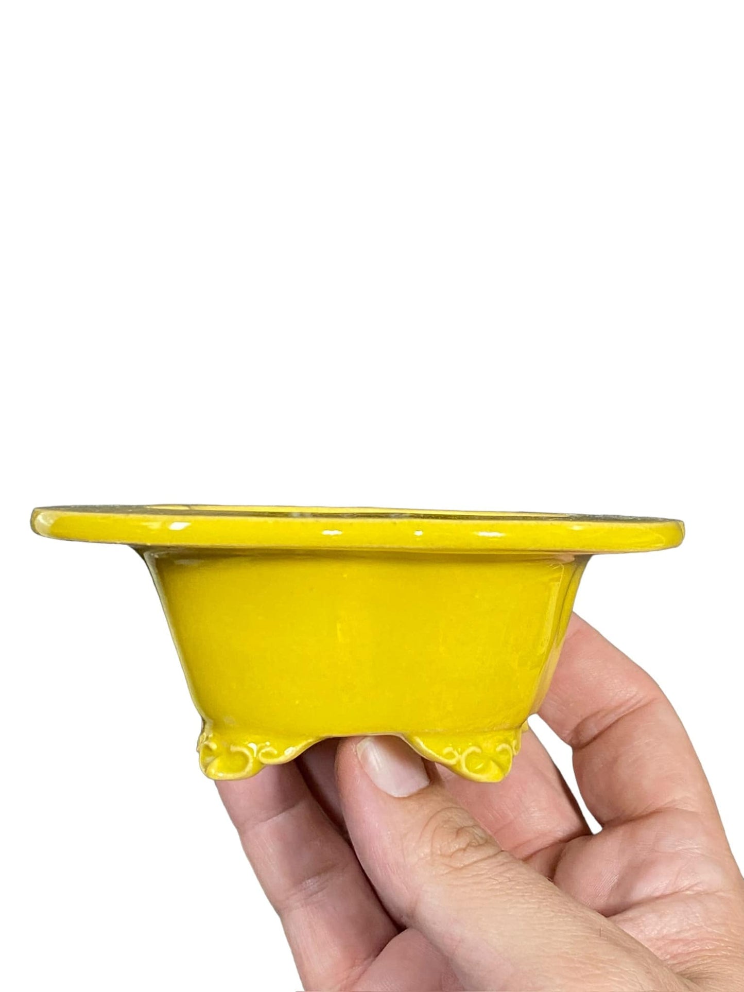 Shozan - Crisp Yellow Mokko Bonsai Pot (5-1/4" wide)