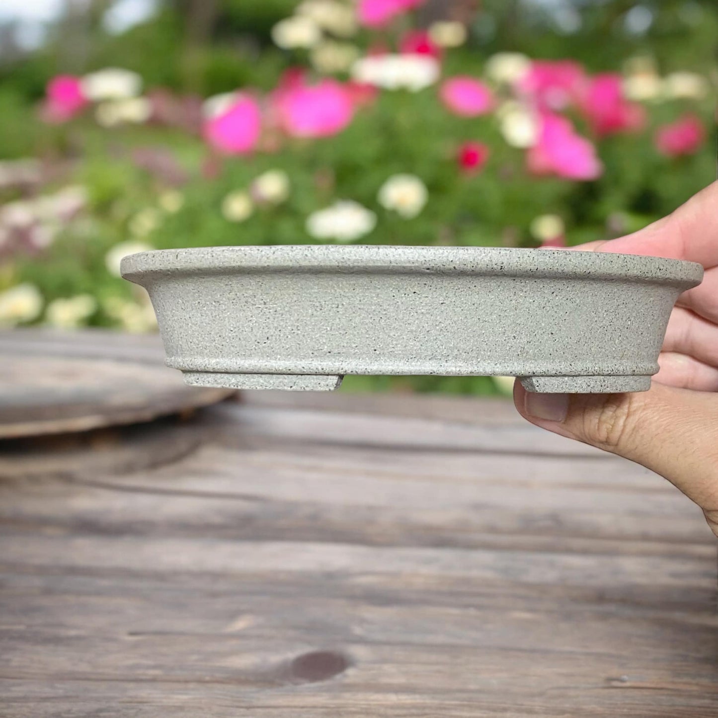 Shibakatsu - Rare Older Unglazed Oval Bonsai Pot (6-1/4" wide)