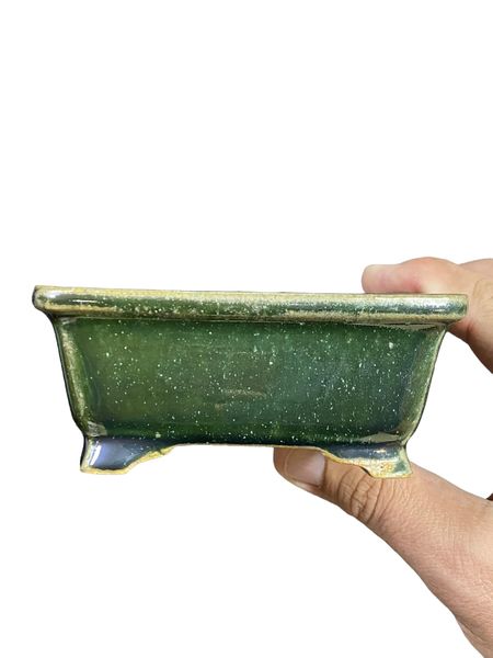 Shibakatsu - Beautiful Green Glazed Rectangle Bonsai Pot (4-5/16" wide)