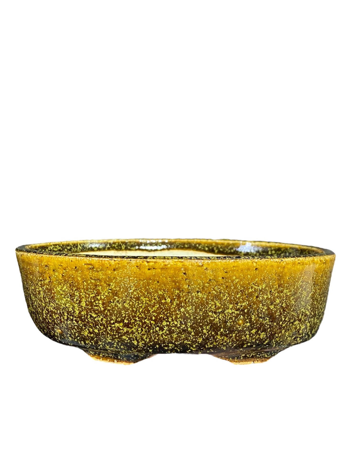 Kiyoshi Kiowai “Fuka” - Golden Glazed Oval Bonsai Pot (5-3/8" wide)