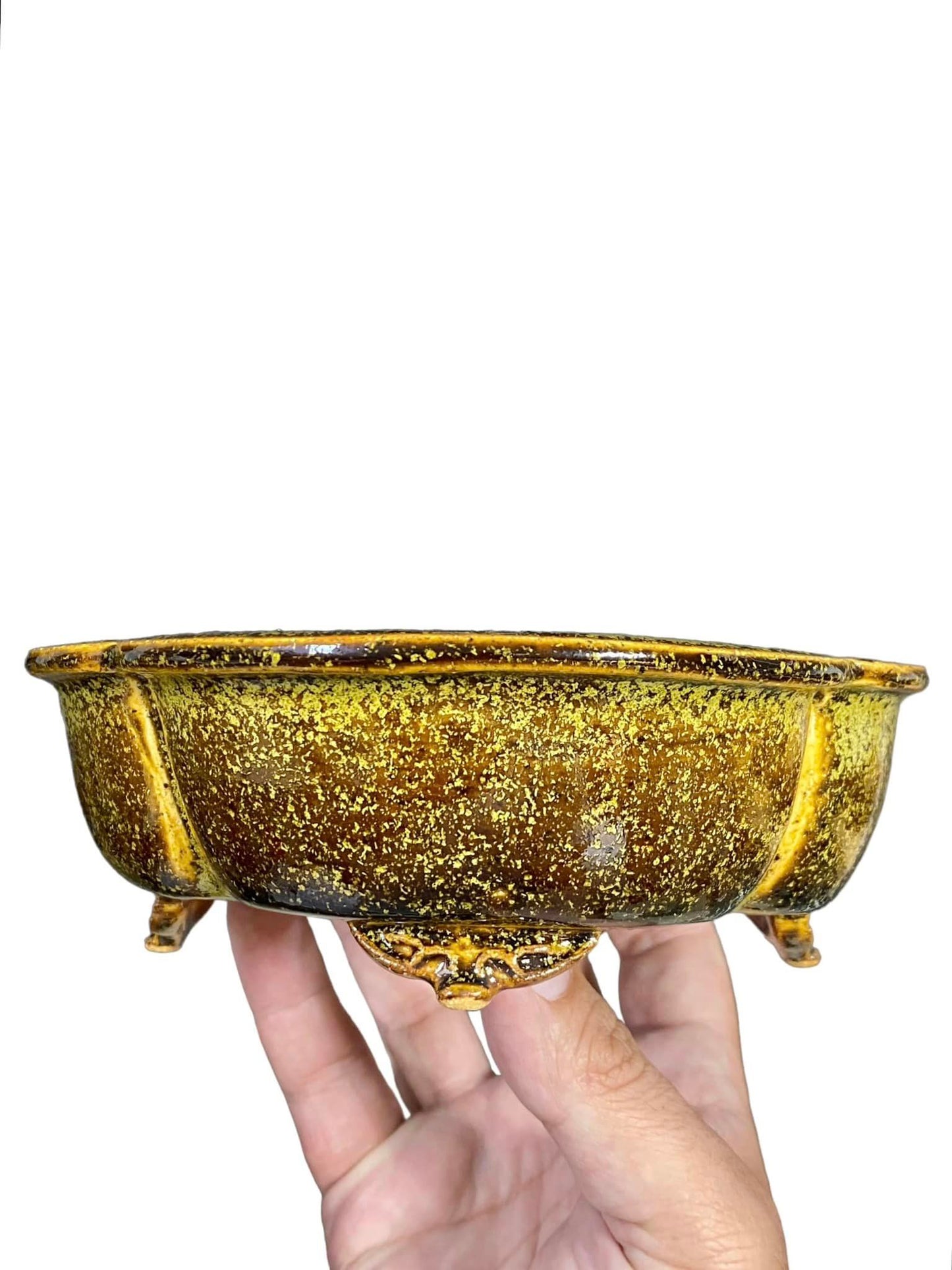 Kiyoshi Kiowai “Fuka” - Gold Glazed Mokko Bonsai Pot (7-1/2" wide)