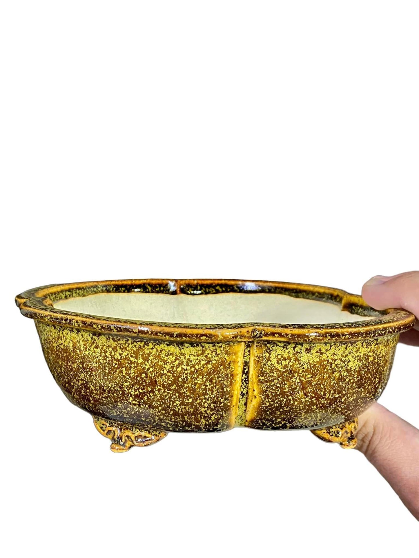 Kiyoshi Kiowai “Fuka” - Gold Glazed Mokko Bonsai Pot (7-1/2" wide)