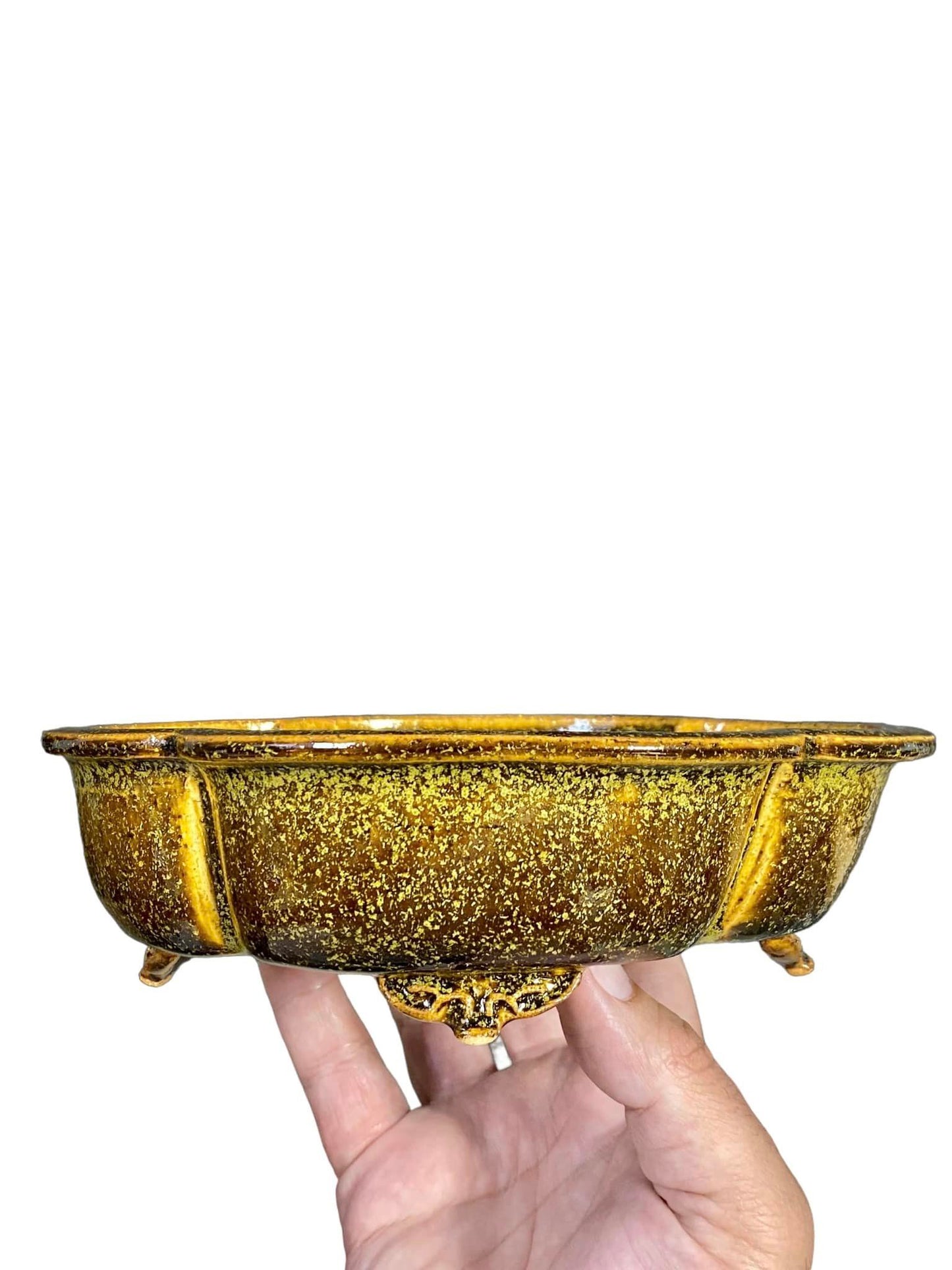 Kiyoshi Kiowai “Fuka” - Gold Glazed Mokko Bonsai Pot (7-1/2" wide)